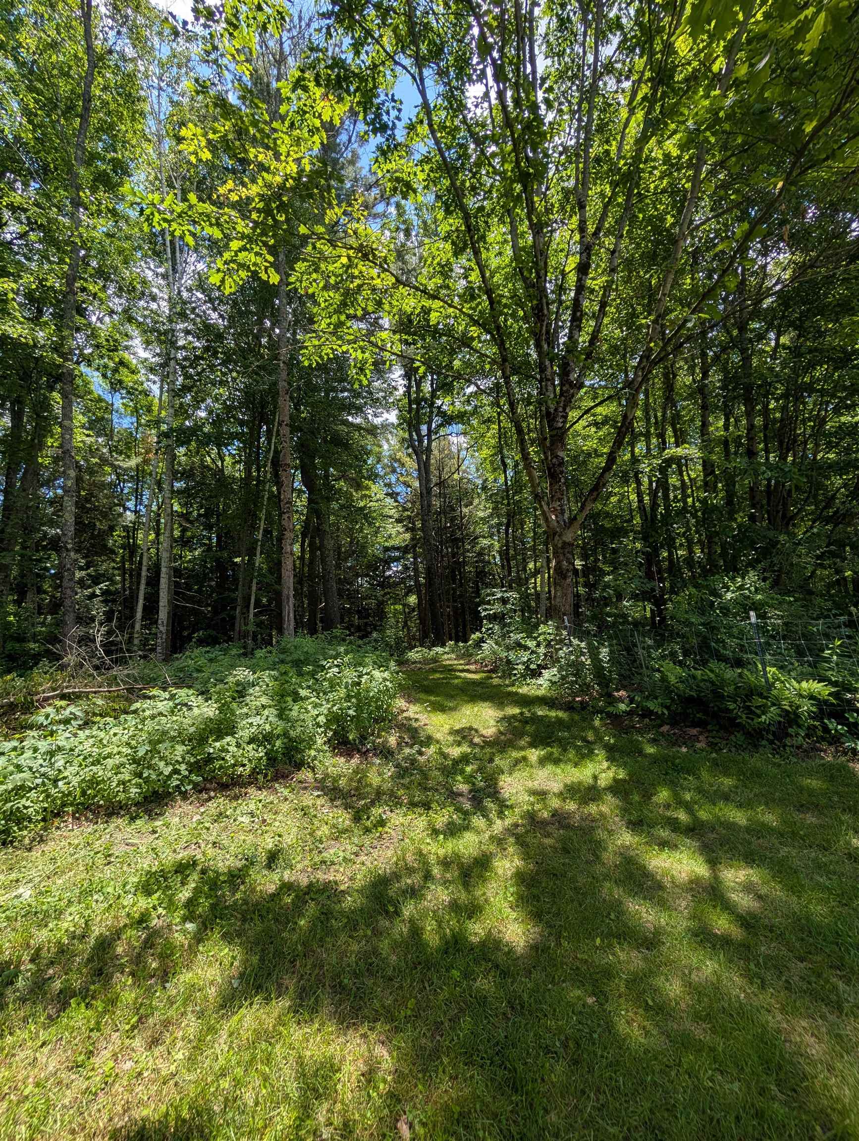 315 Route 4a W Property Photo 59