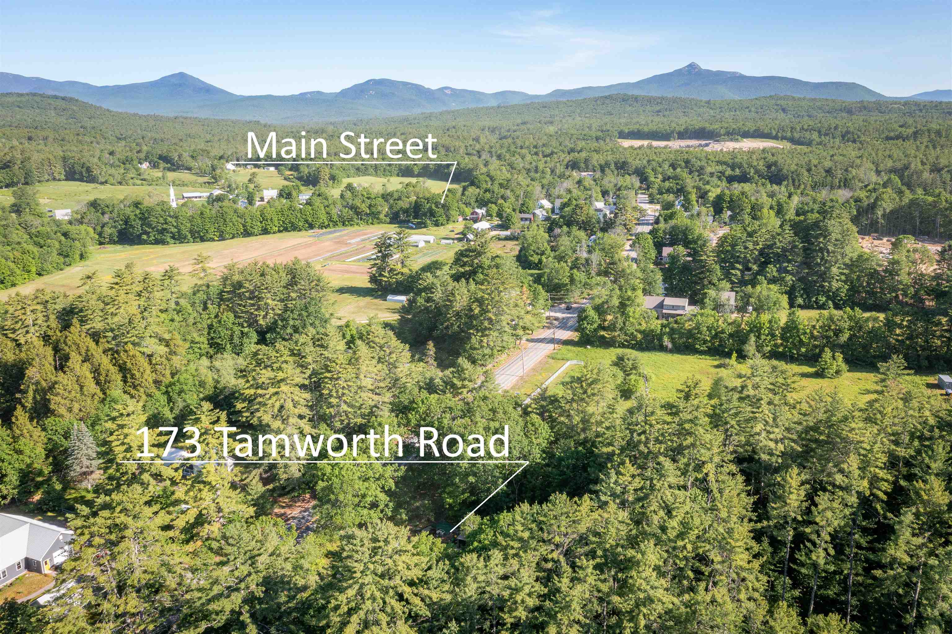 173 Tamworth Road Property Photo 2