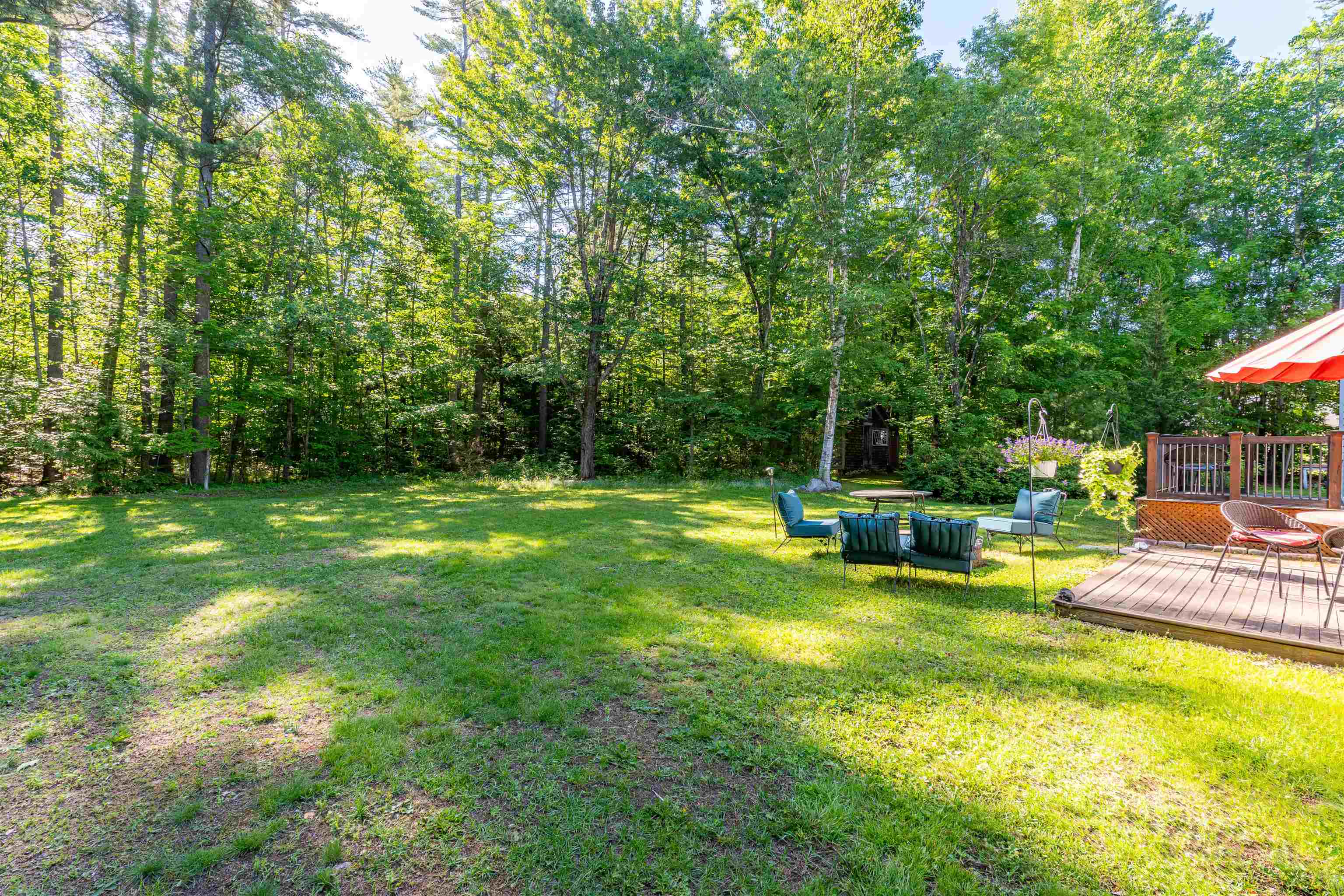 173 Tamworth Road Property Photo 43