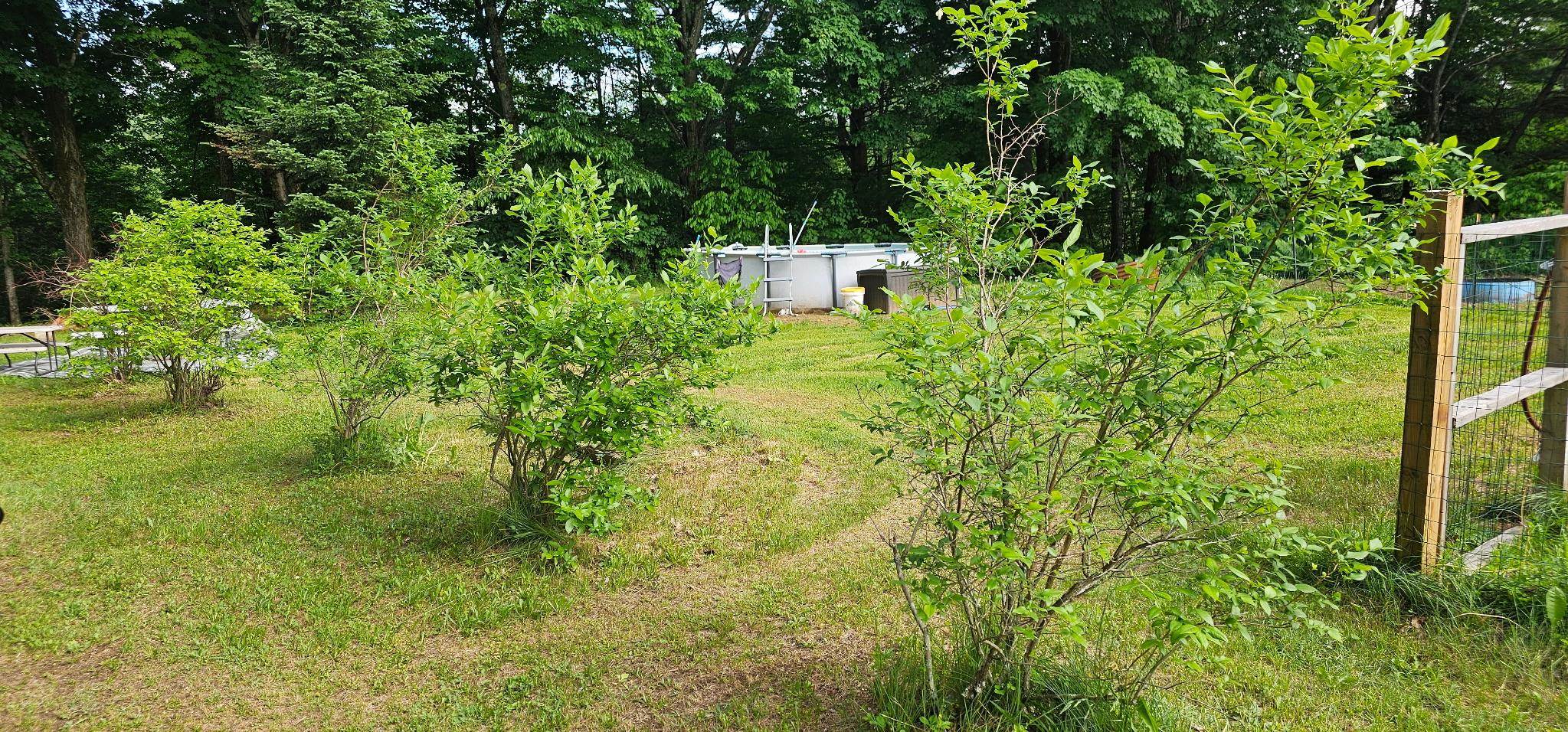 1745 Vt Route 100 Property Photo 34