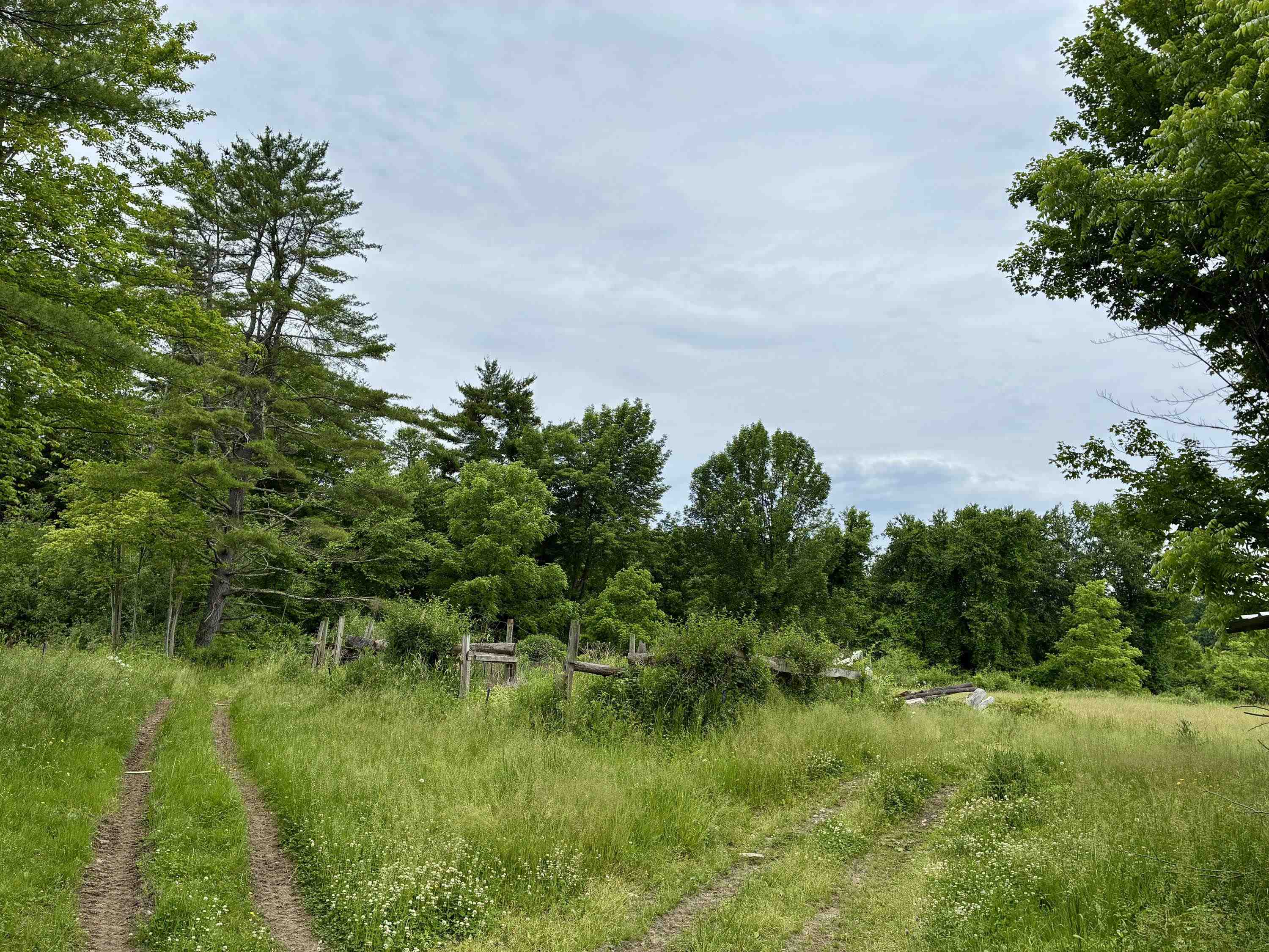 333 Us Route 5 Property Photo 5