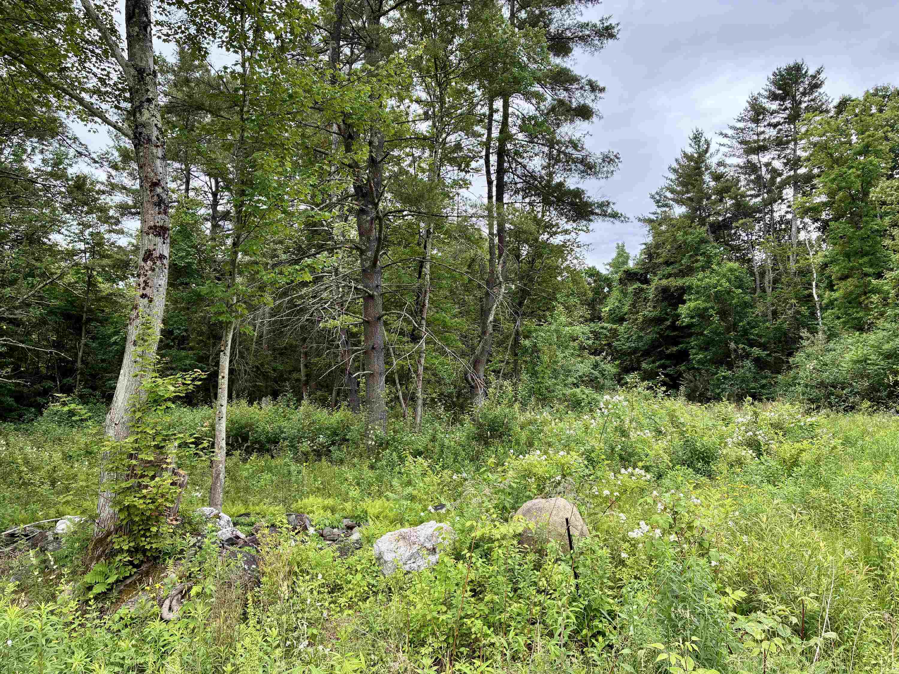 333 Us Route 5 Property Photo 7