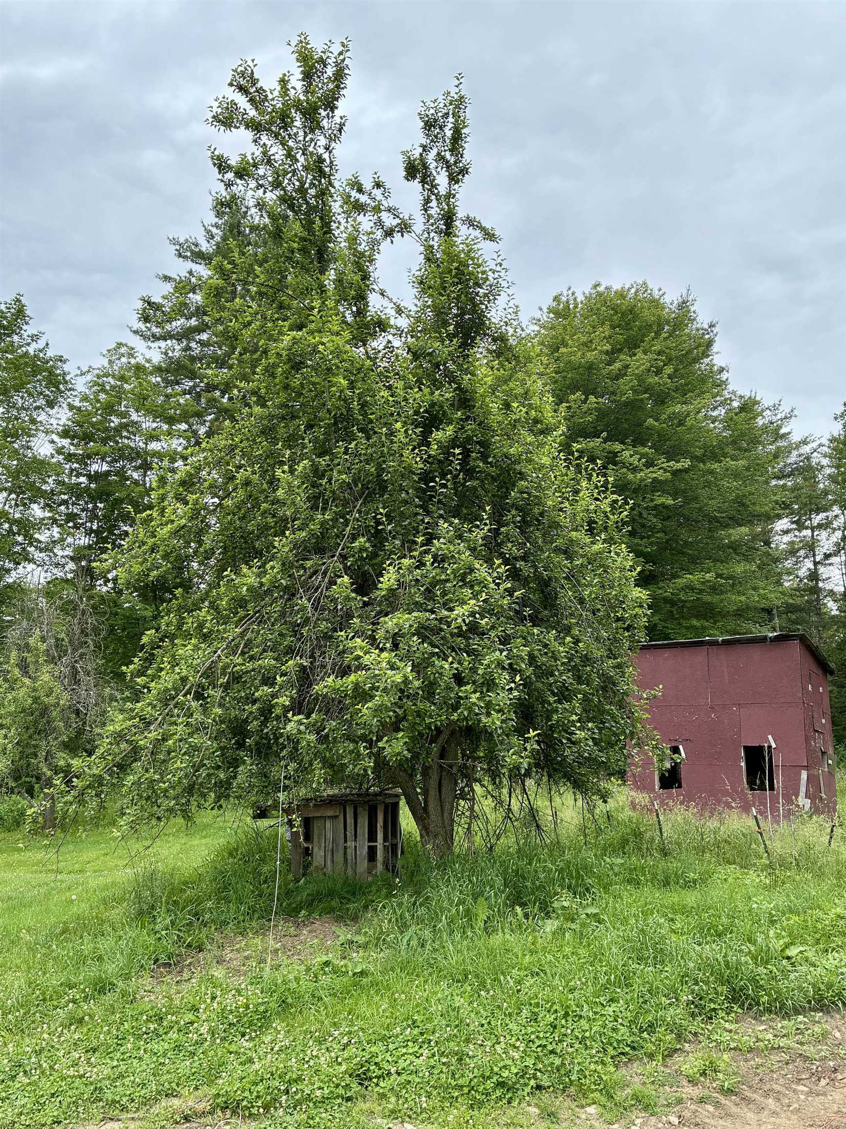 333 Us Route 5 Property Photo 9
