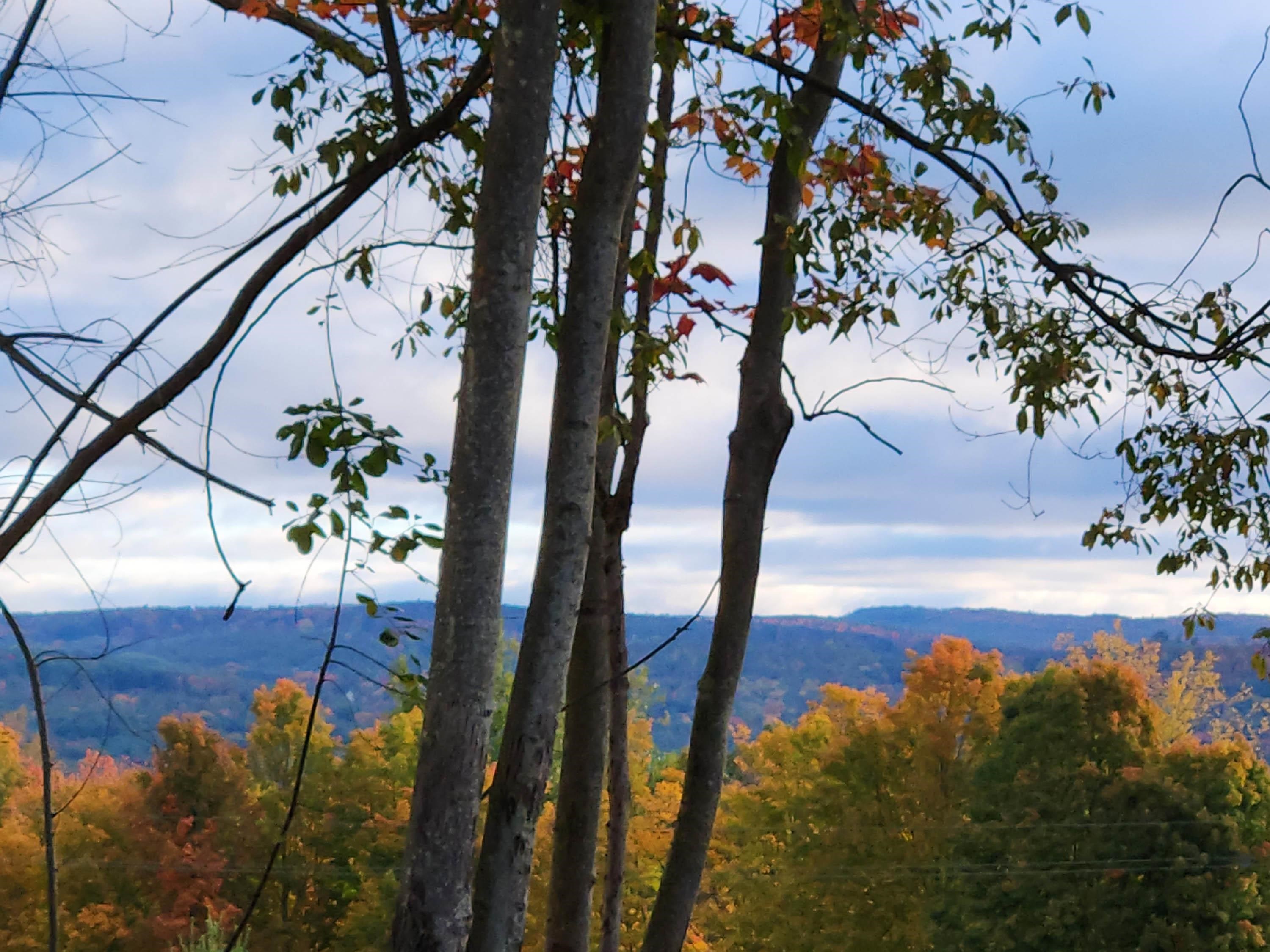 333 Us Route 5 Property Photo 12