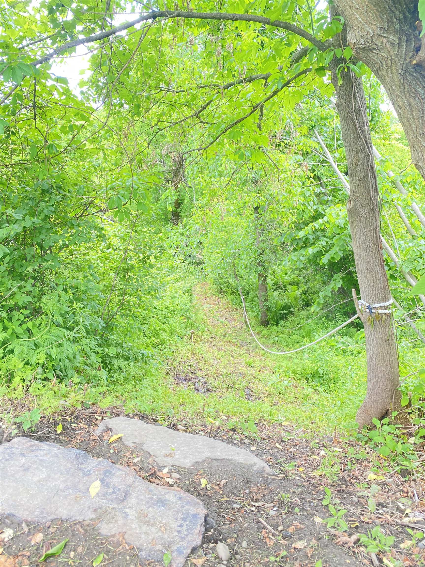 5863 Vermont Route 14 Property Photo 20