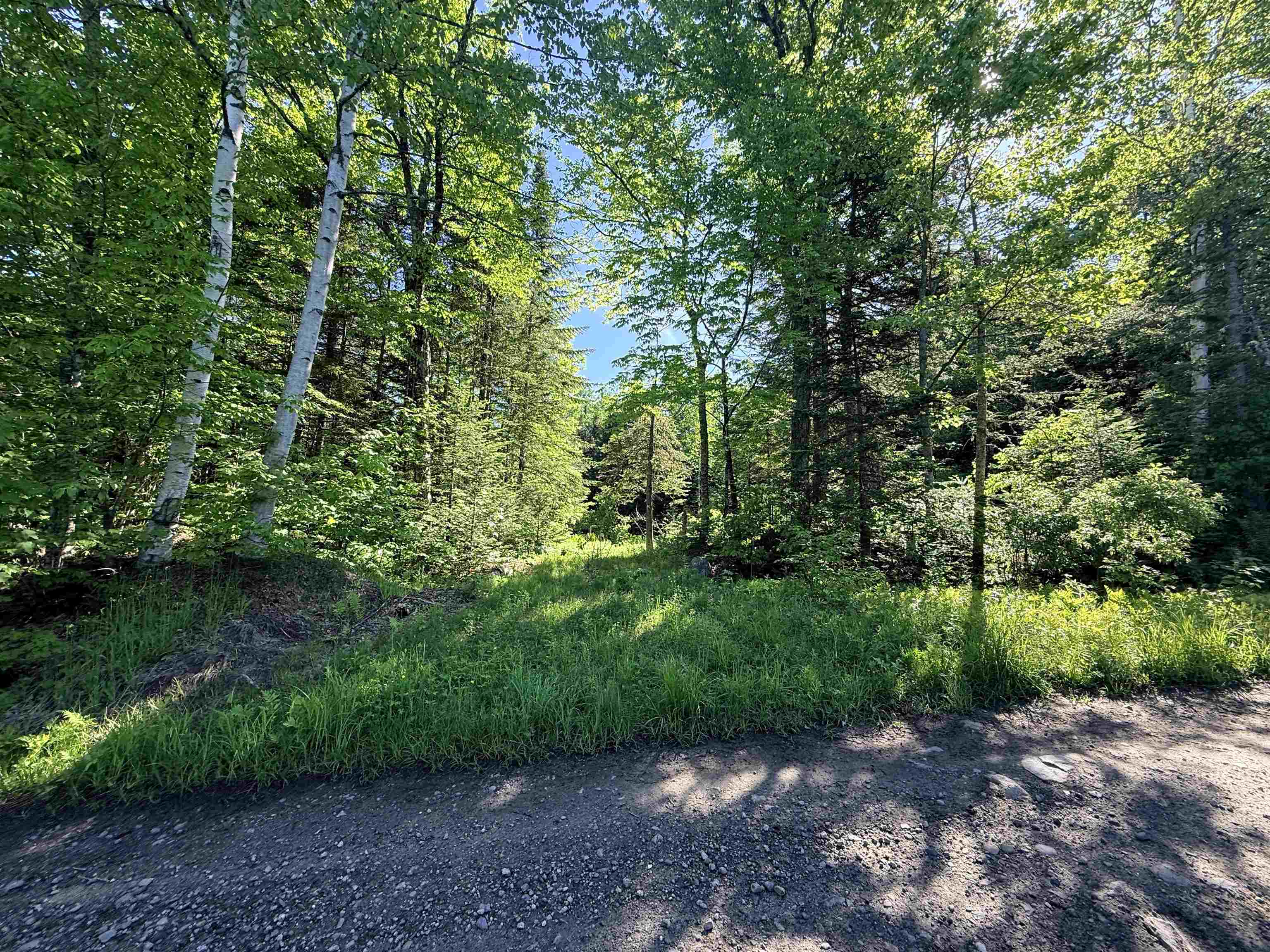 00 Tug Mountain Road Property Photo 1
