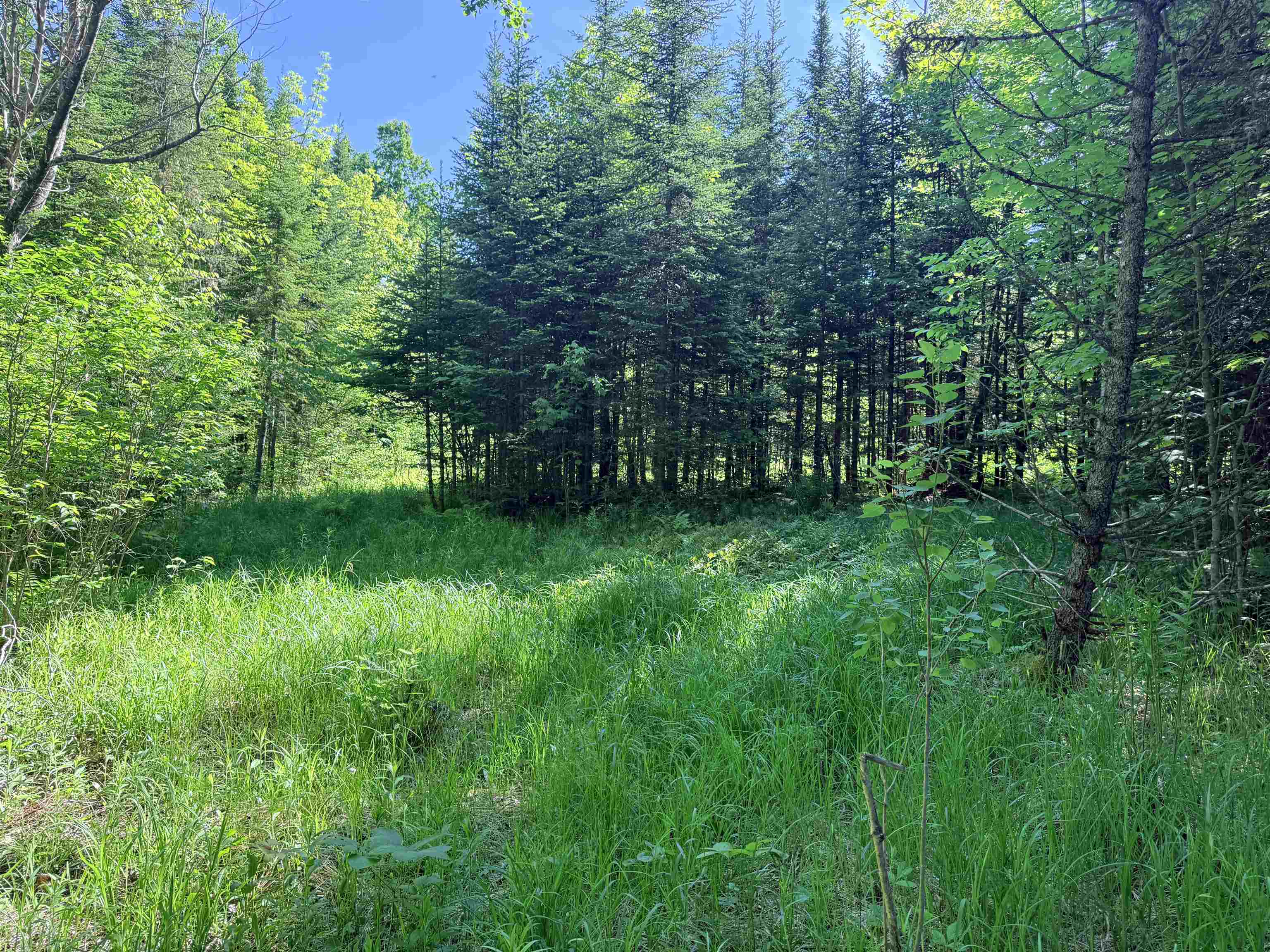 00 Tug Mountain Road Property Photo 1