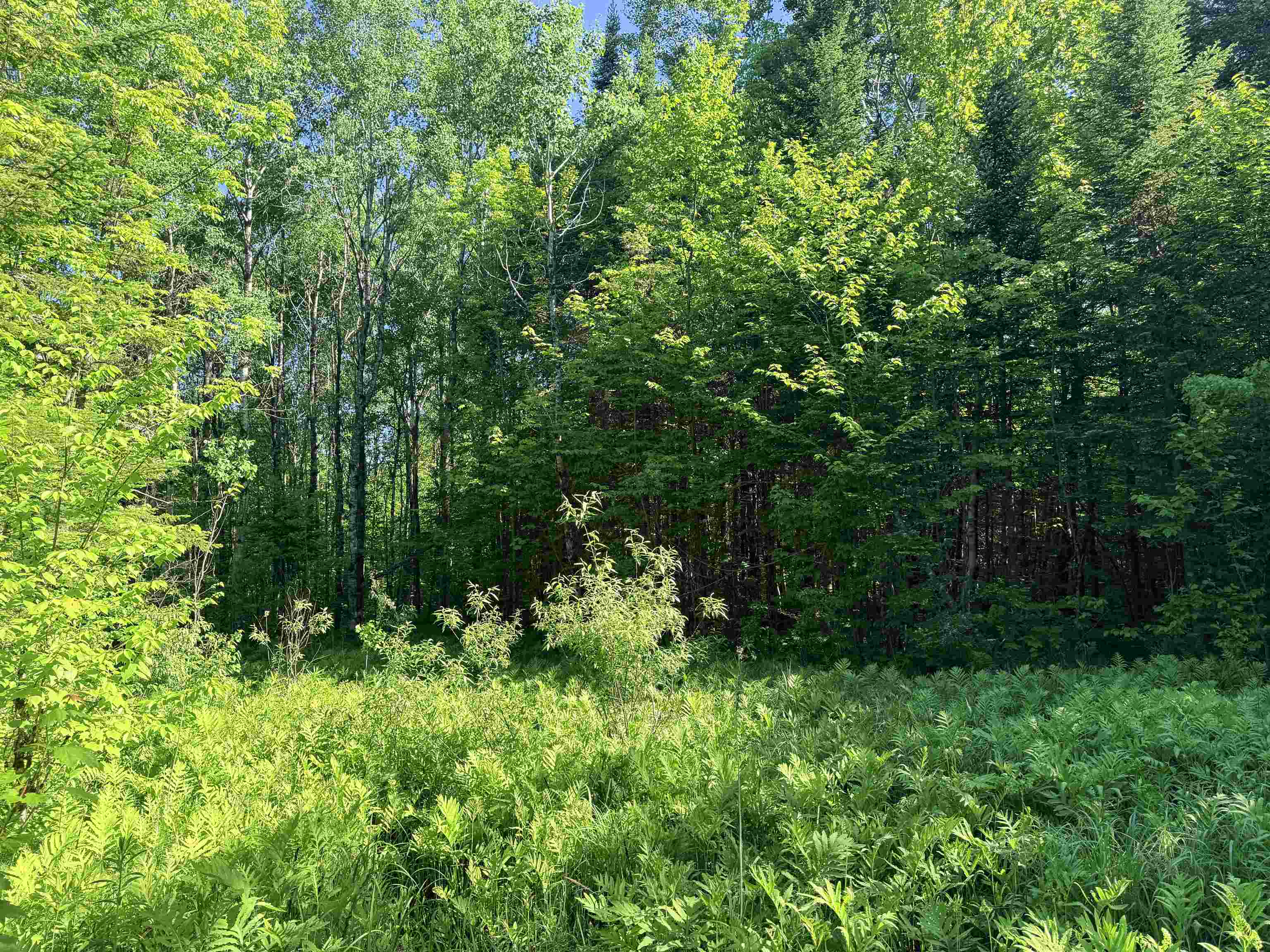 00 Tug Mountain Road Property Photo 3