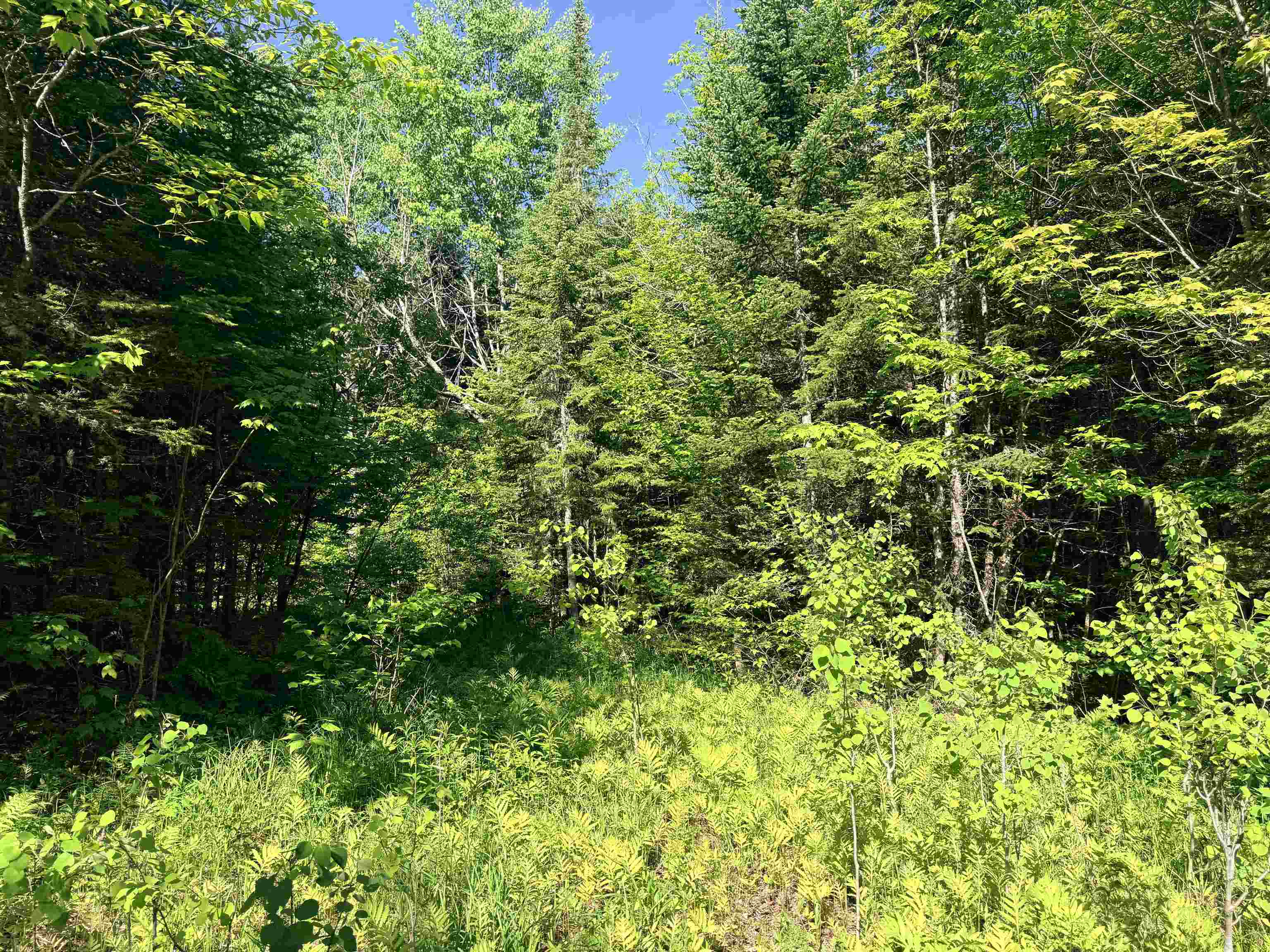 00 Tug Mountain Road Property Photo 4