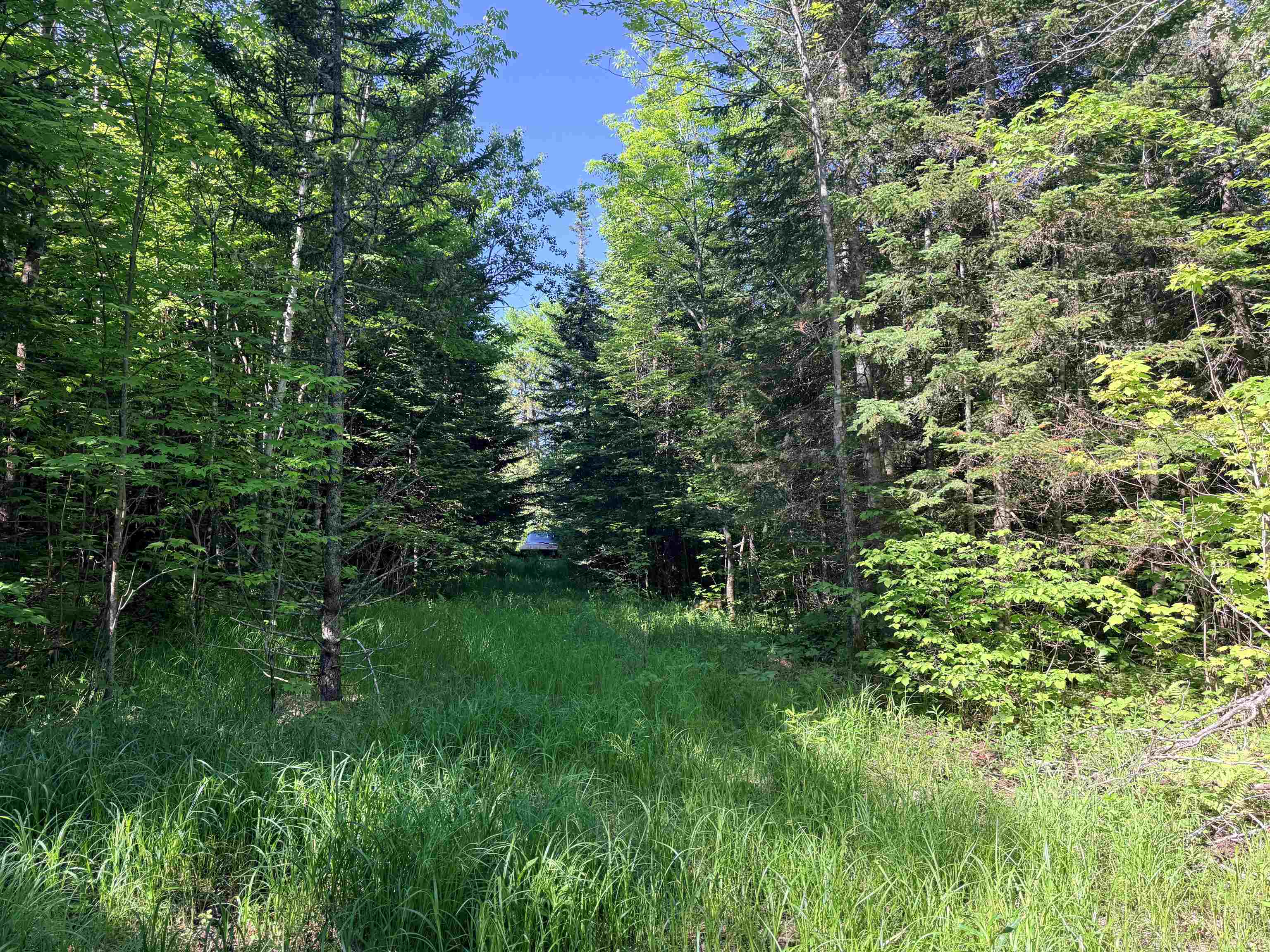 00 Tug Mountain Road Property Photo 5