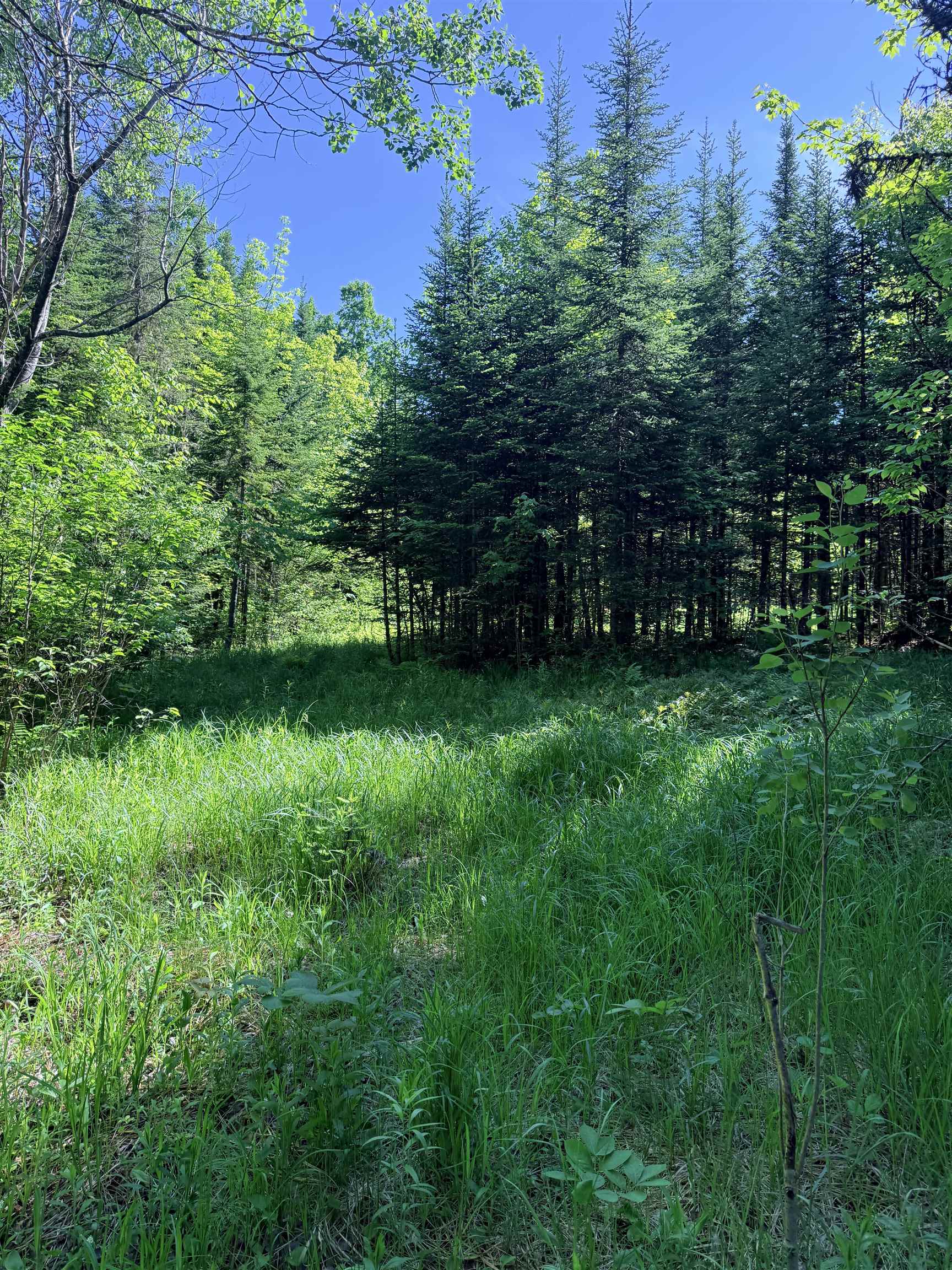 00 Tug Mountain Road Property Photo 7