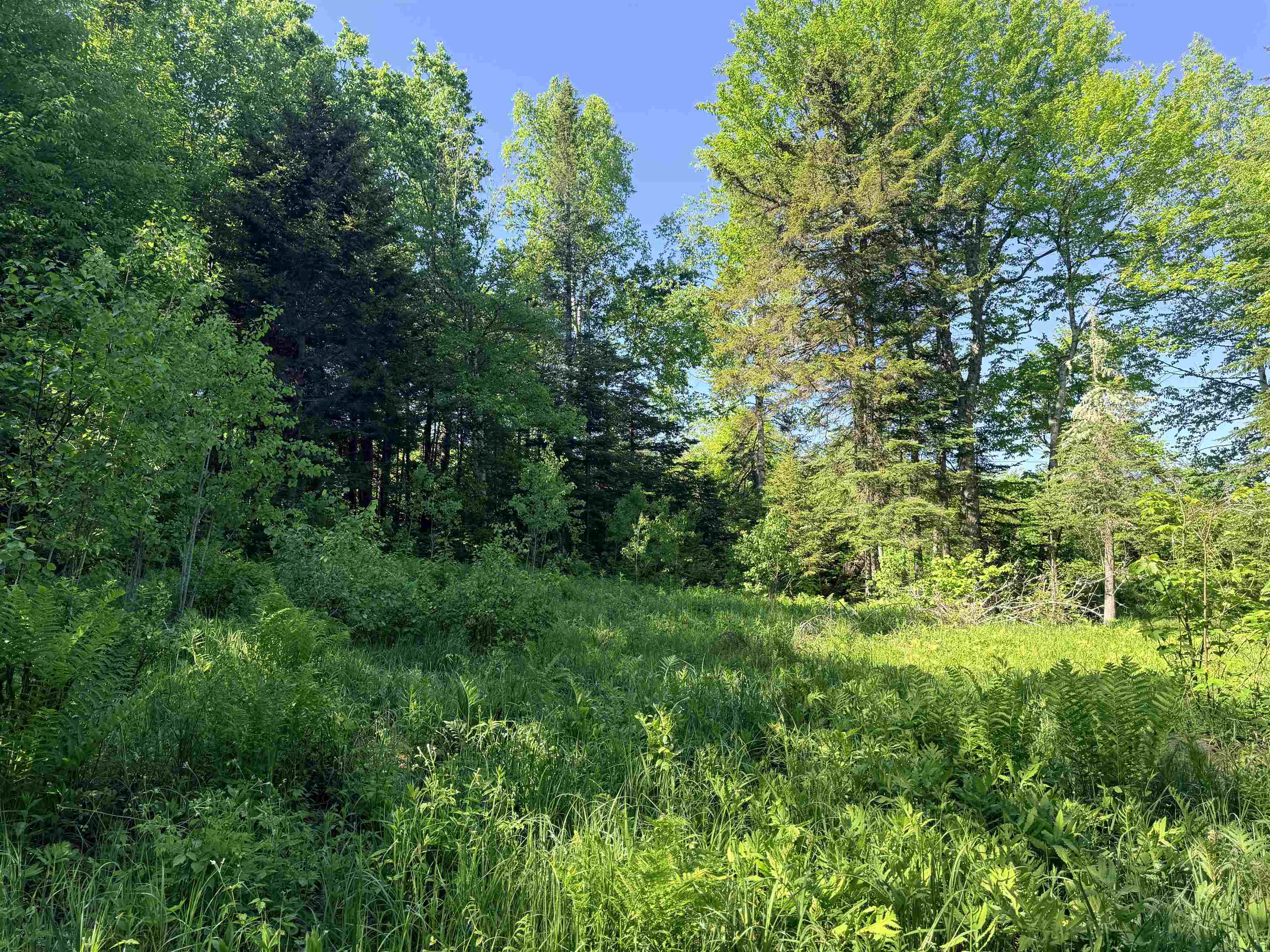 00 Tug Mountain Road Property Photo 8