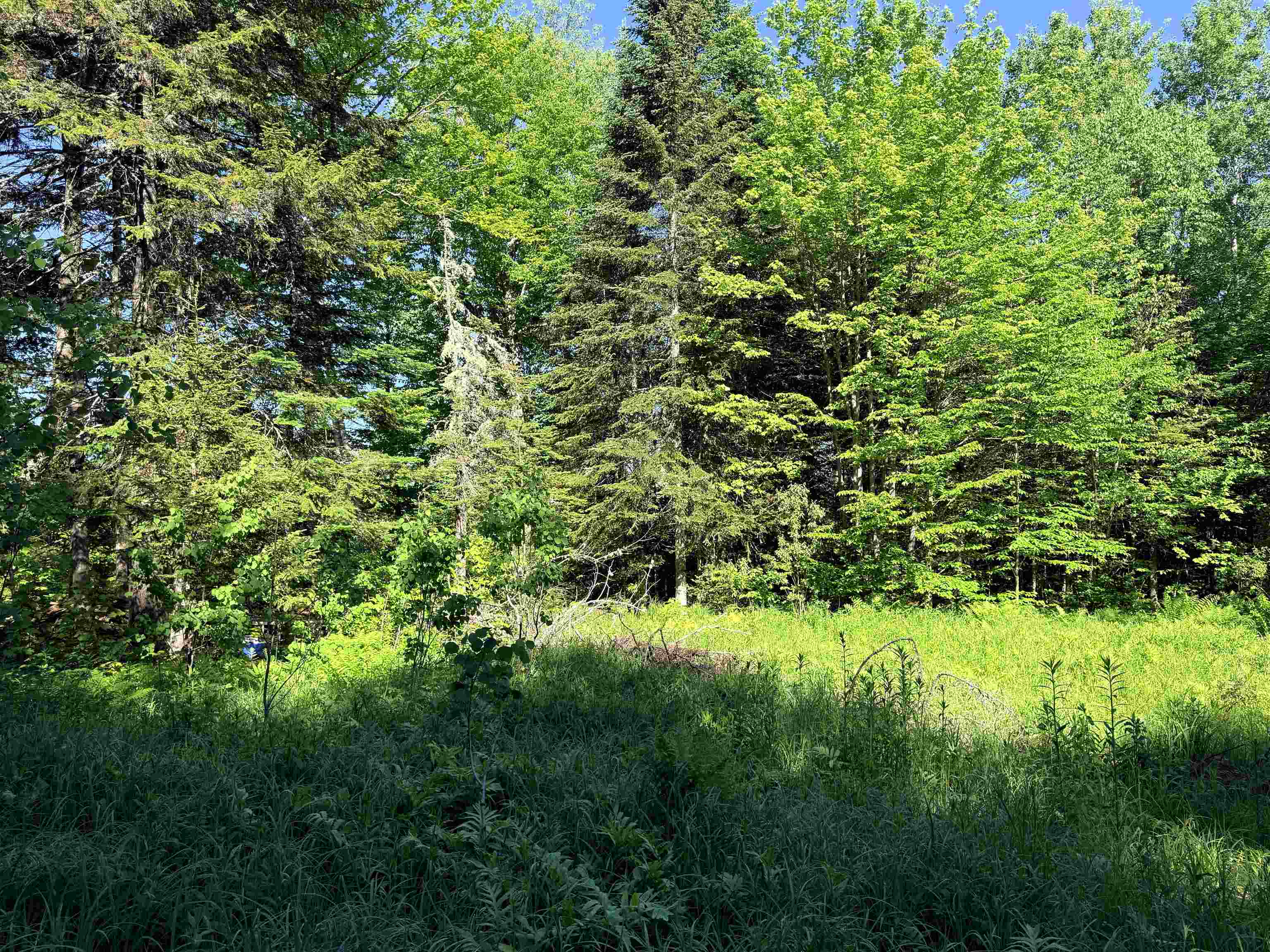 00 Tug Mountain Road Property Photo 10