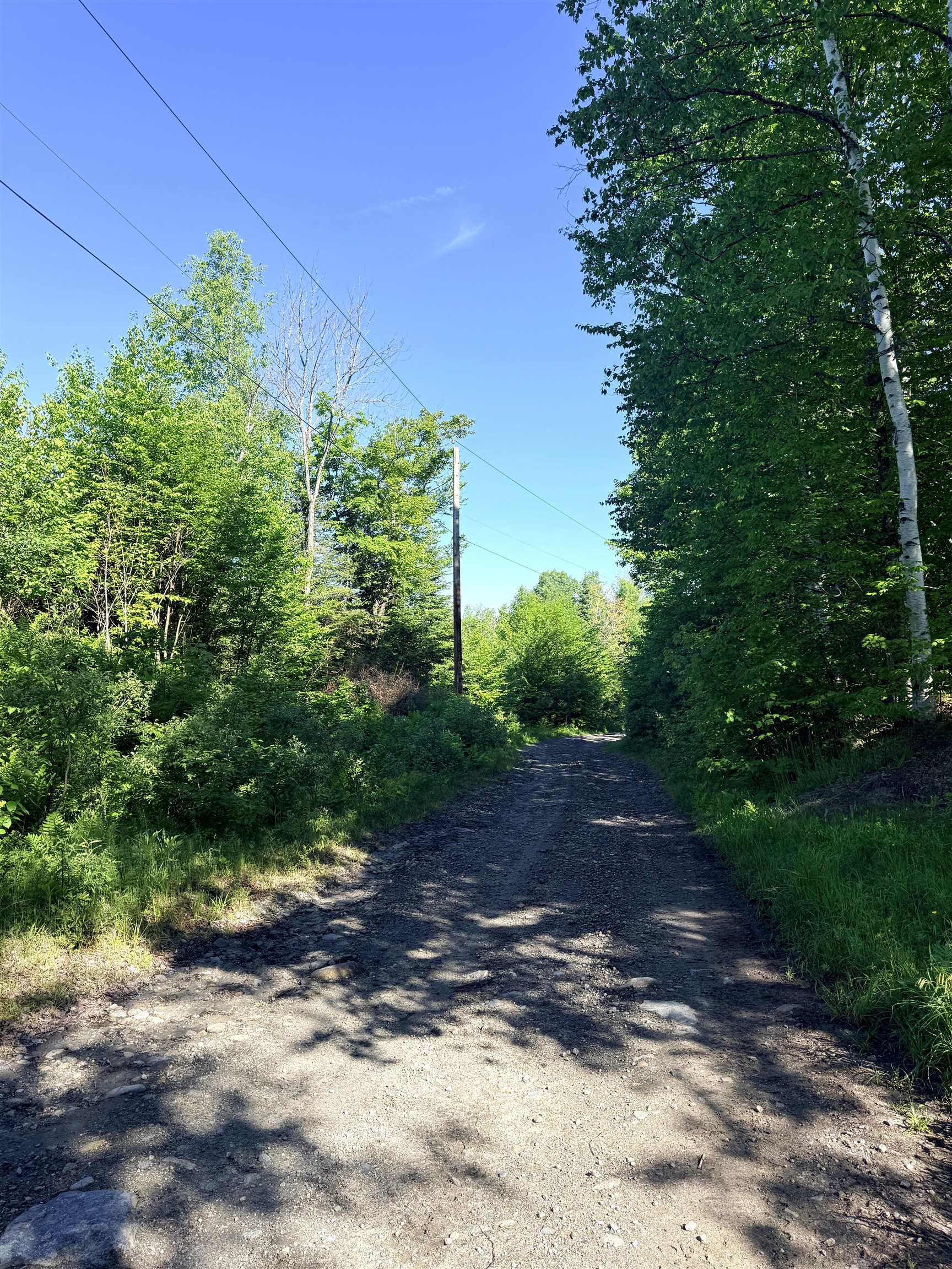 00 Tug Mountain Road Property Photo 13