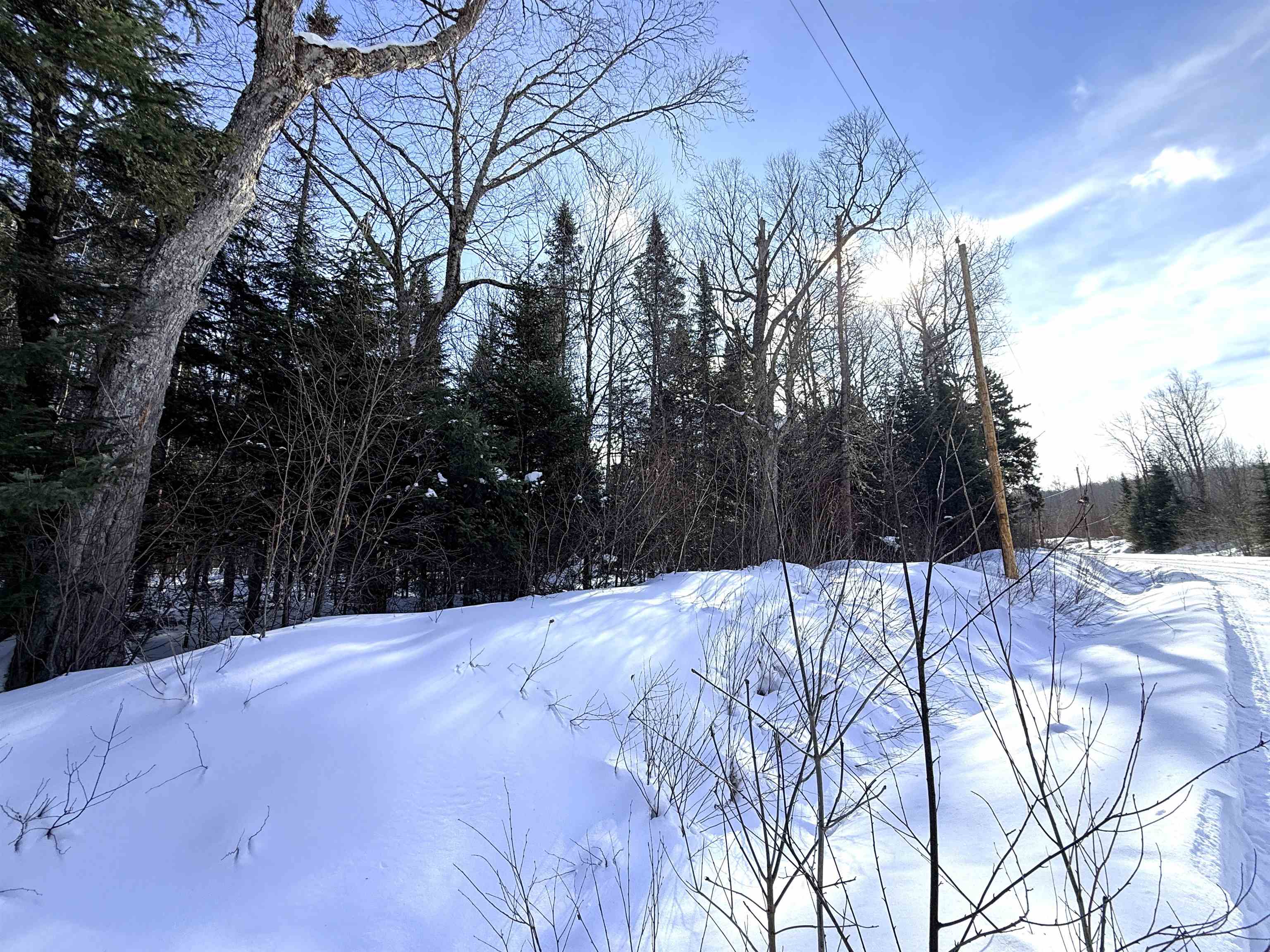 00 Tug Mountain Road Property Photo 17