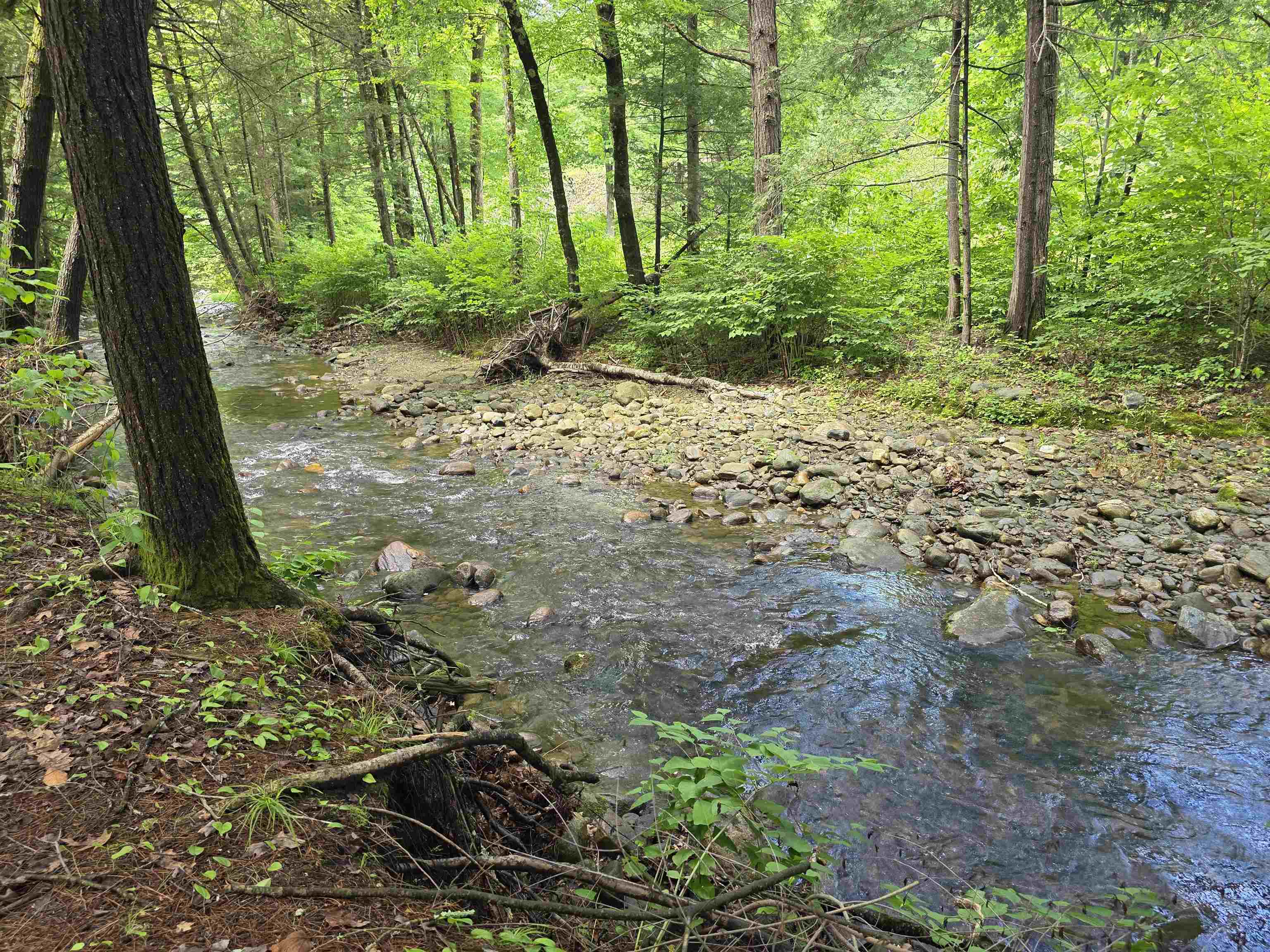 373 Vermont Route 30 Property Photo 8