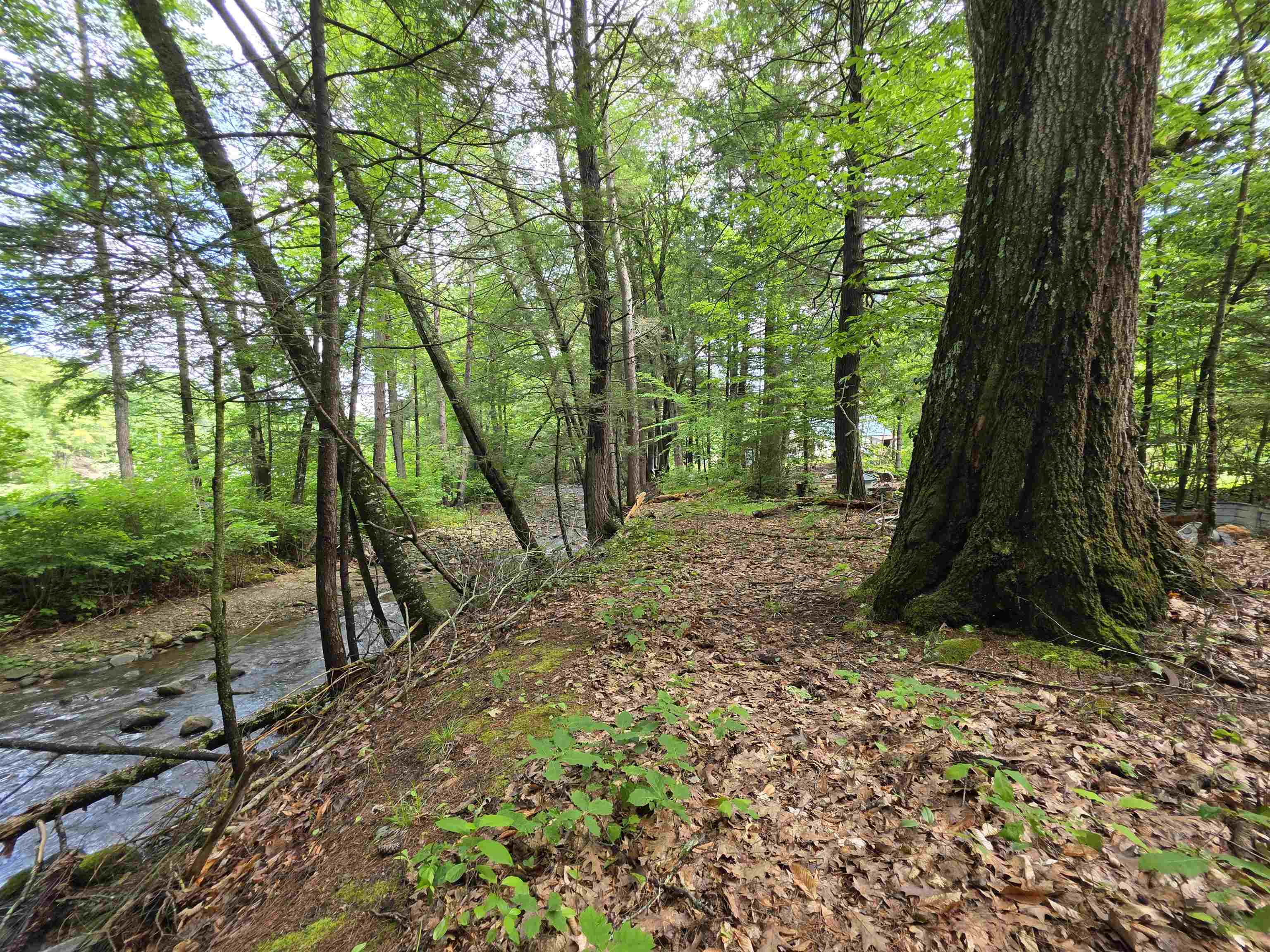 373 Vermont Route 30 Property Photo 43