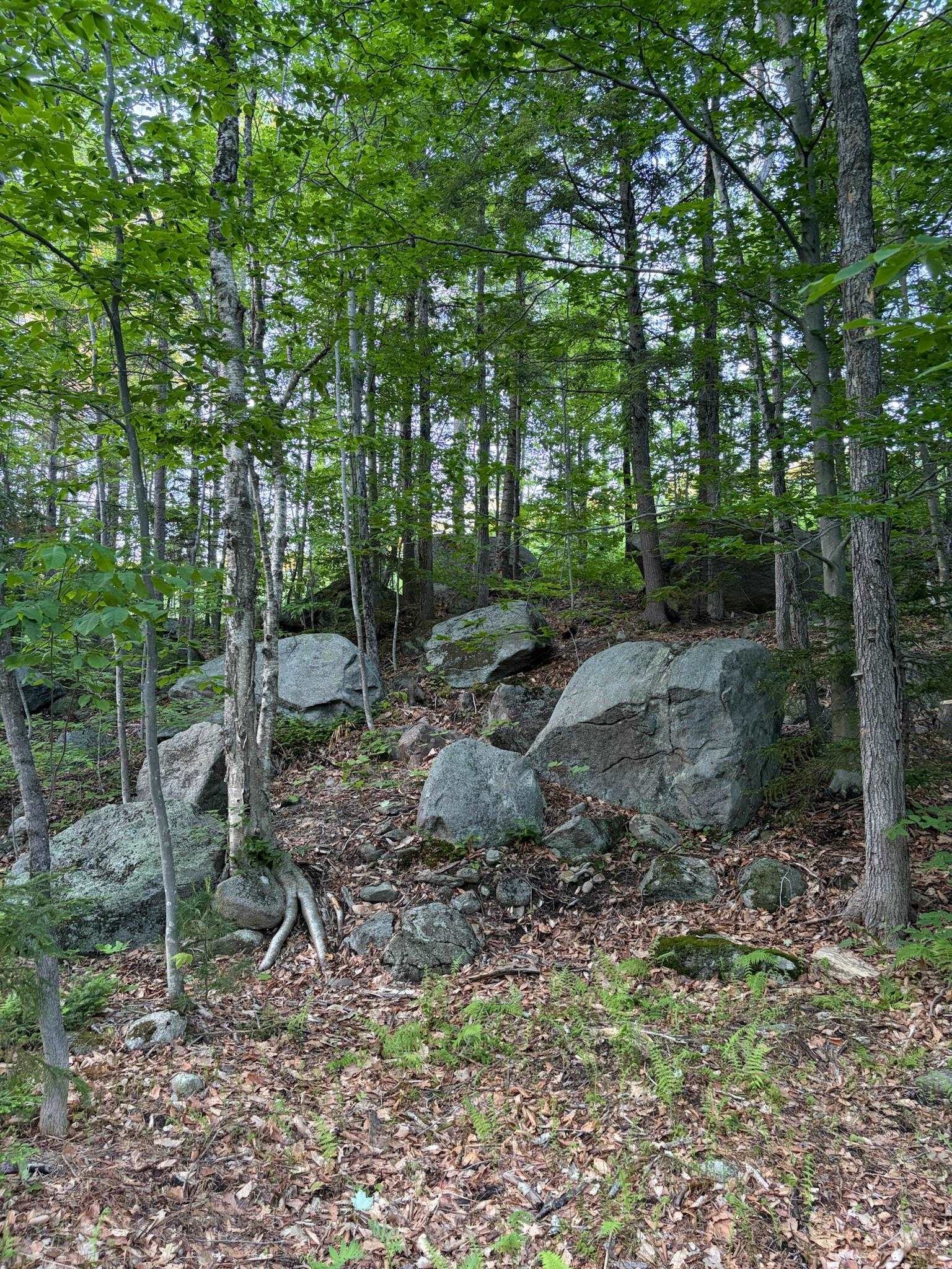 1766 Route 10 N Property Photo 25