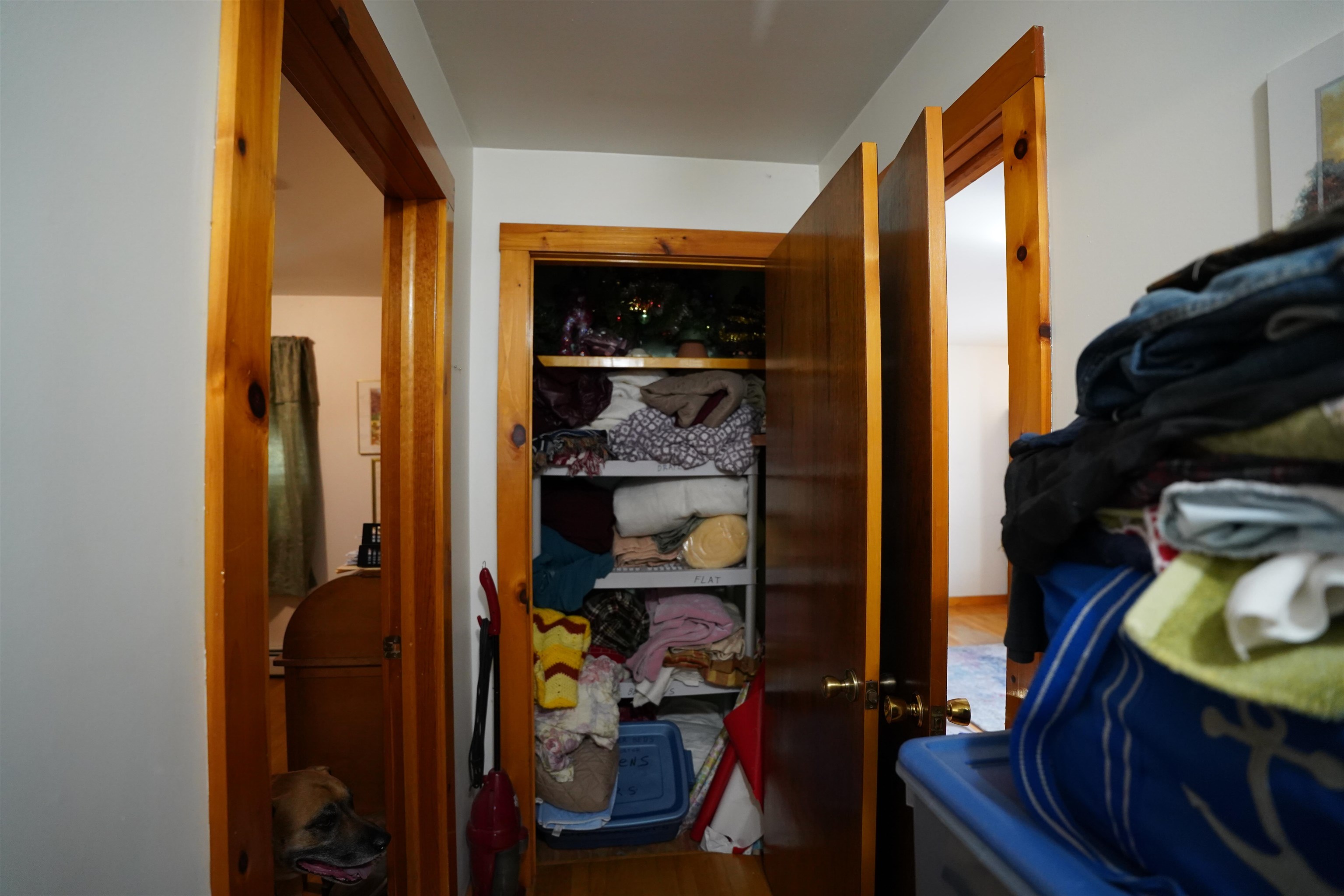 8 Birch Street Property Photo 10