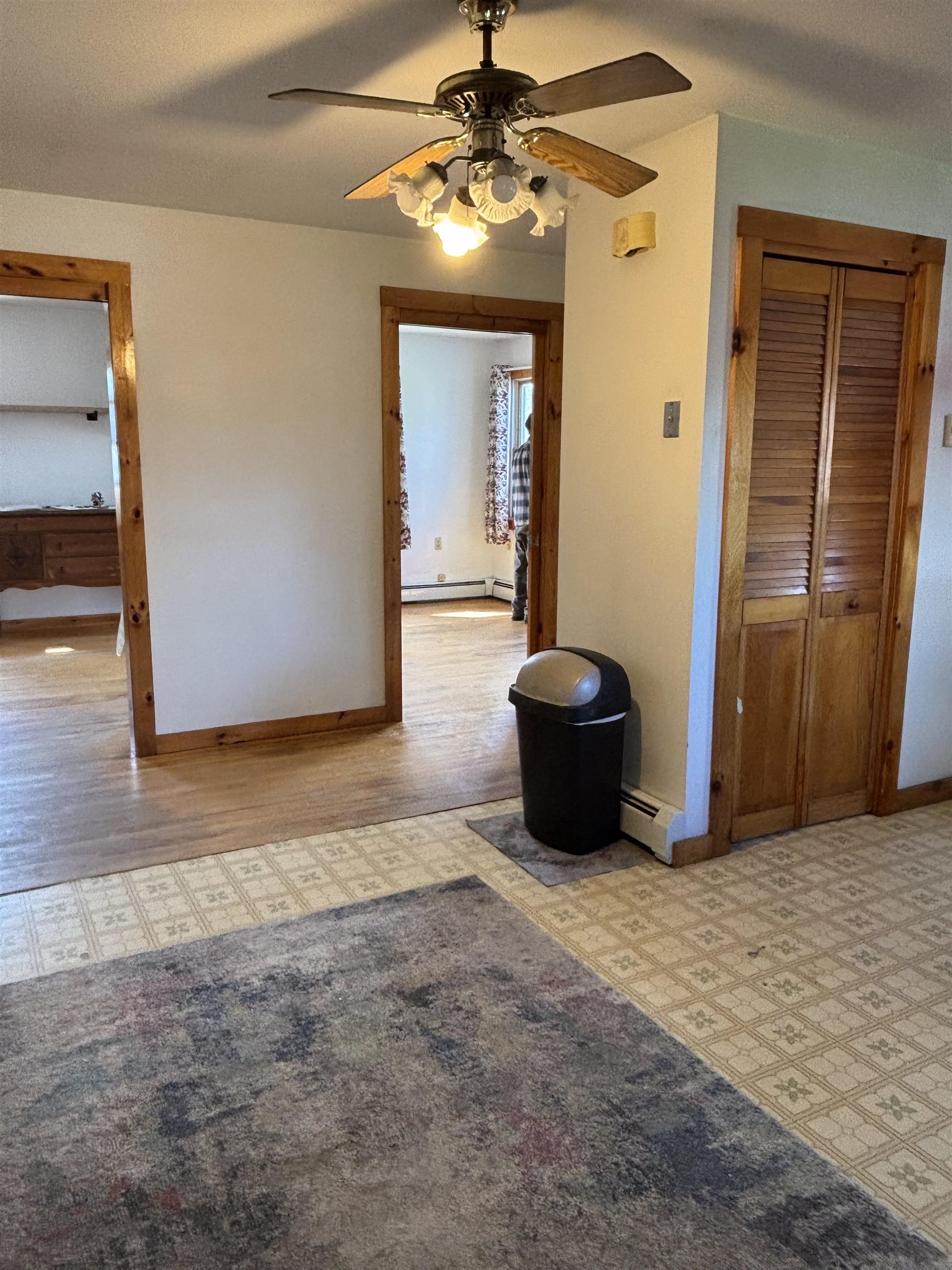 8 Birch Street Property Photo 47