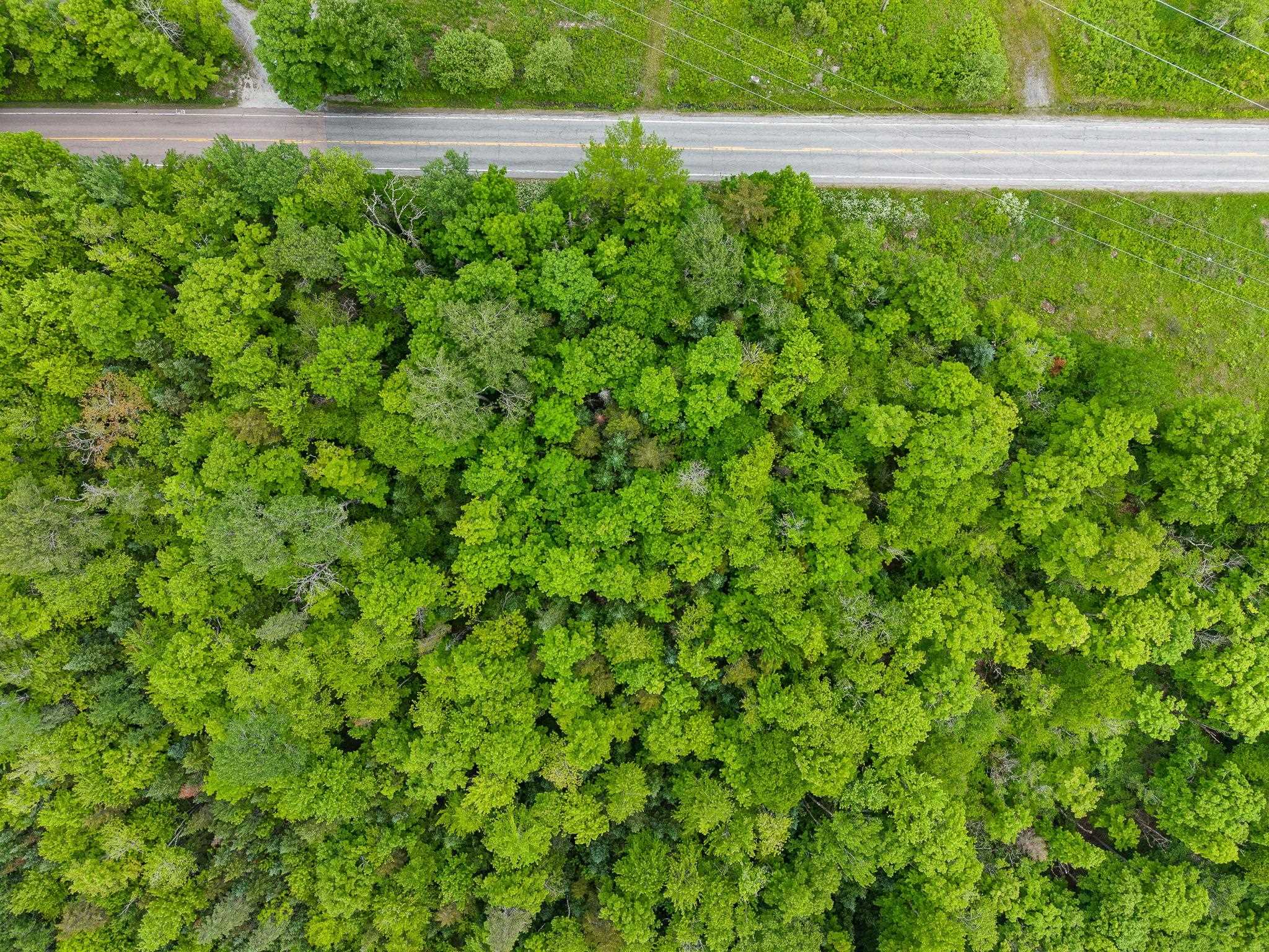 Us Route 302 Property Photo 2
