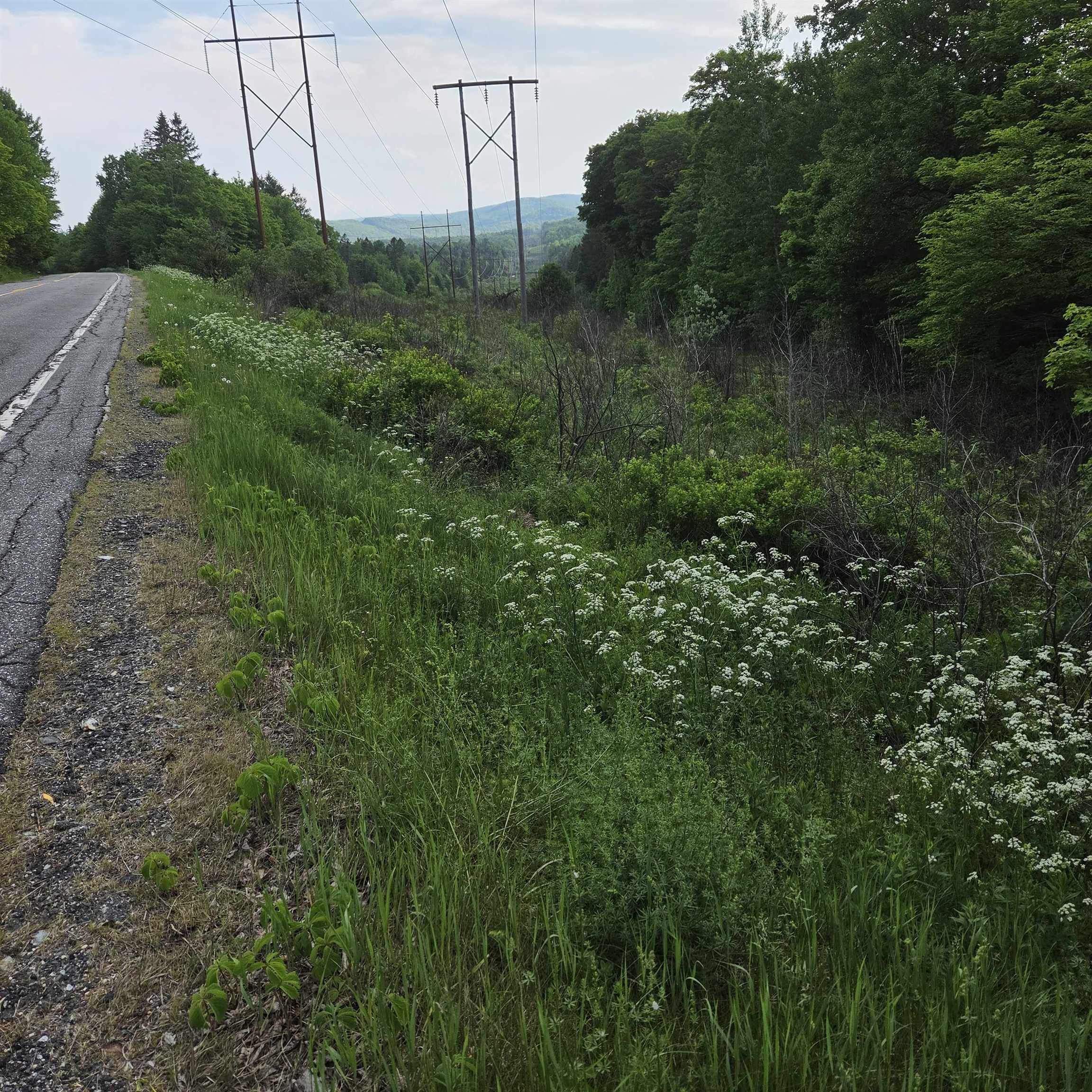 Us Route 302 Property Photo 4