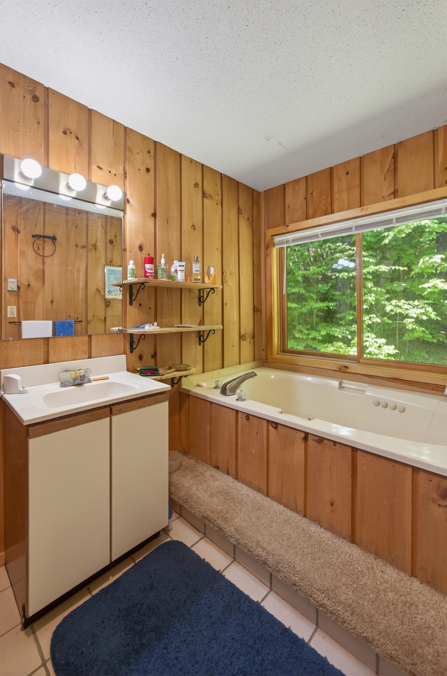 36 Bears Den Road Property Photo 9