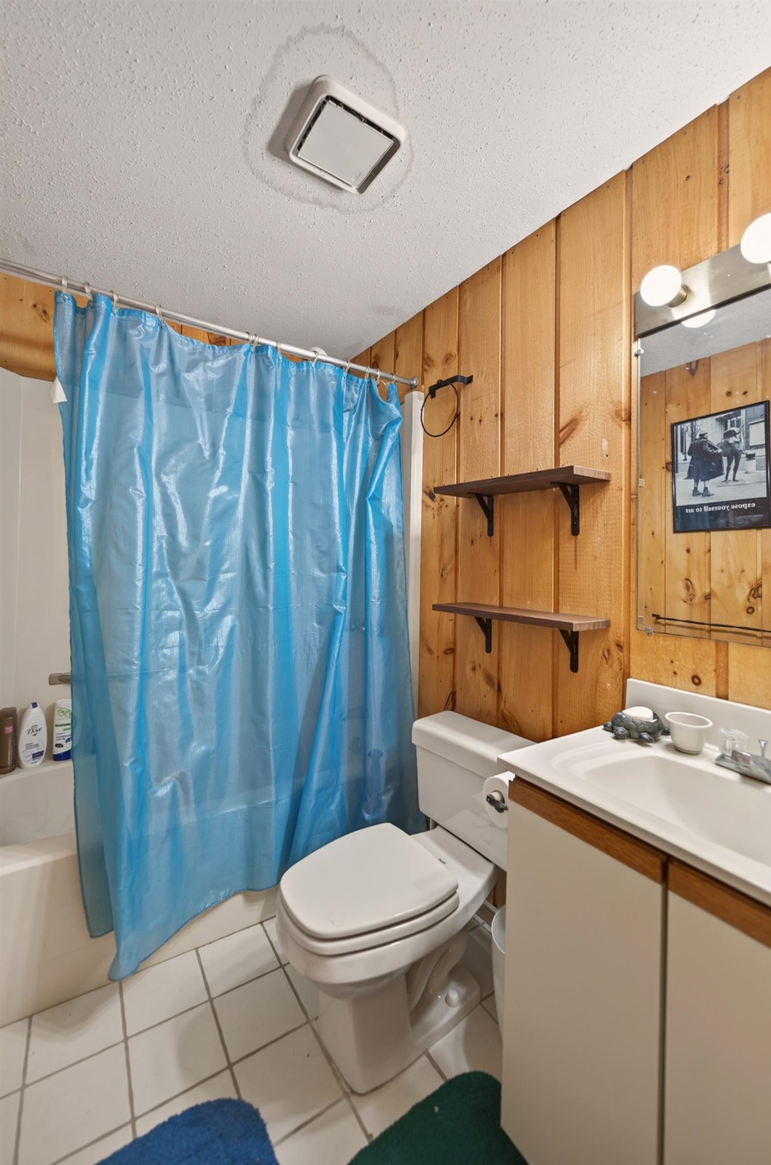 36 Bears Den Road Property Photo 19