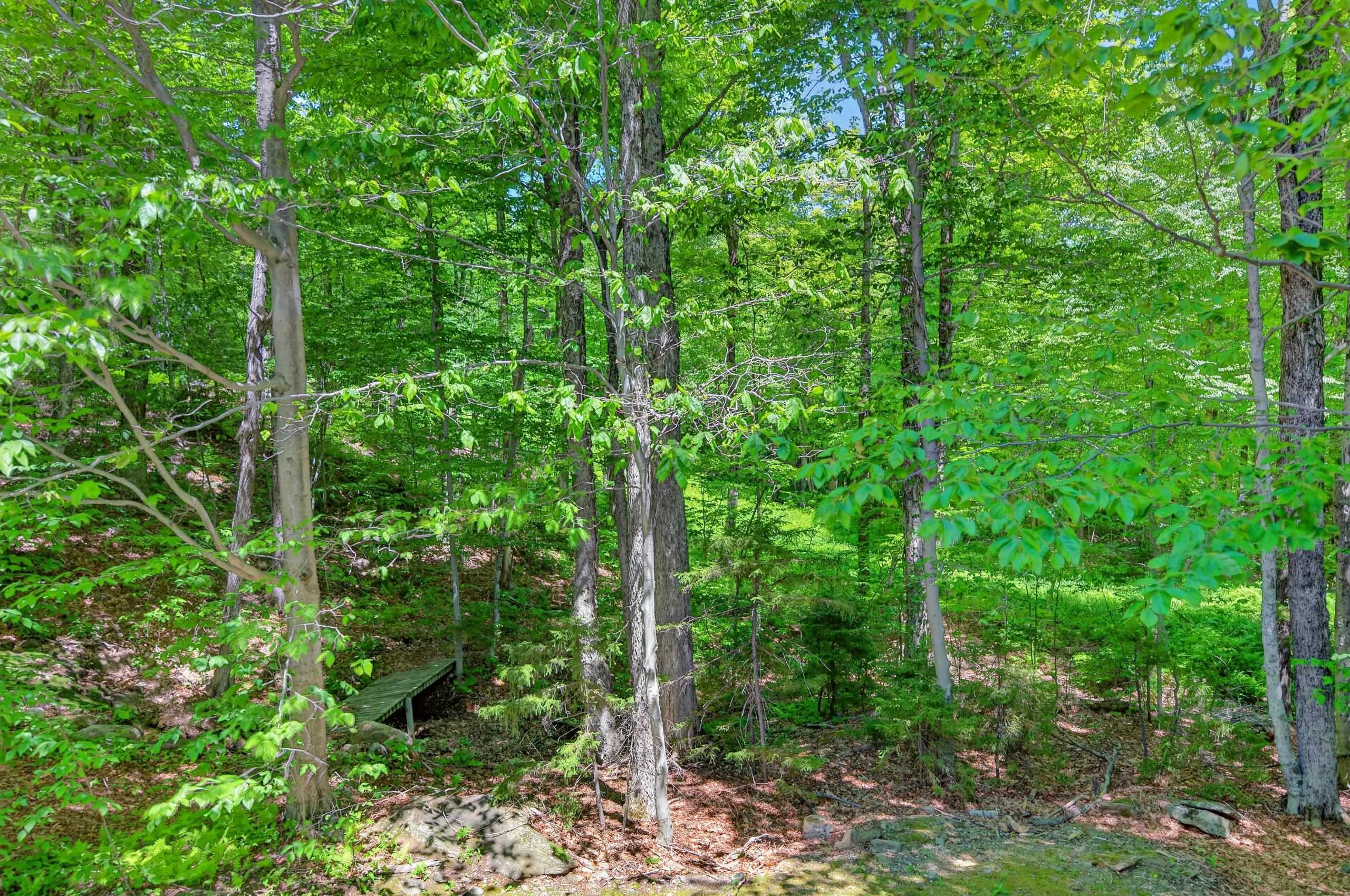36 Bears Den Road Property Photo 24
