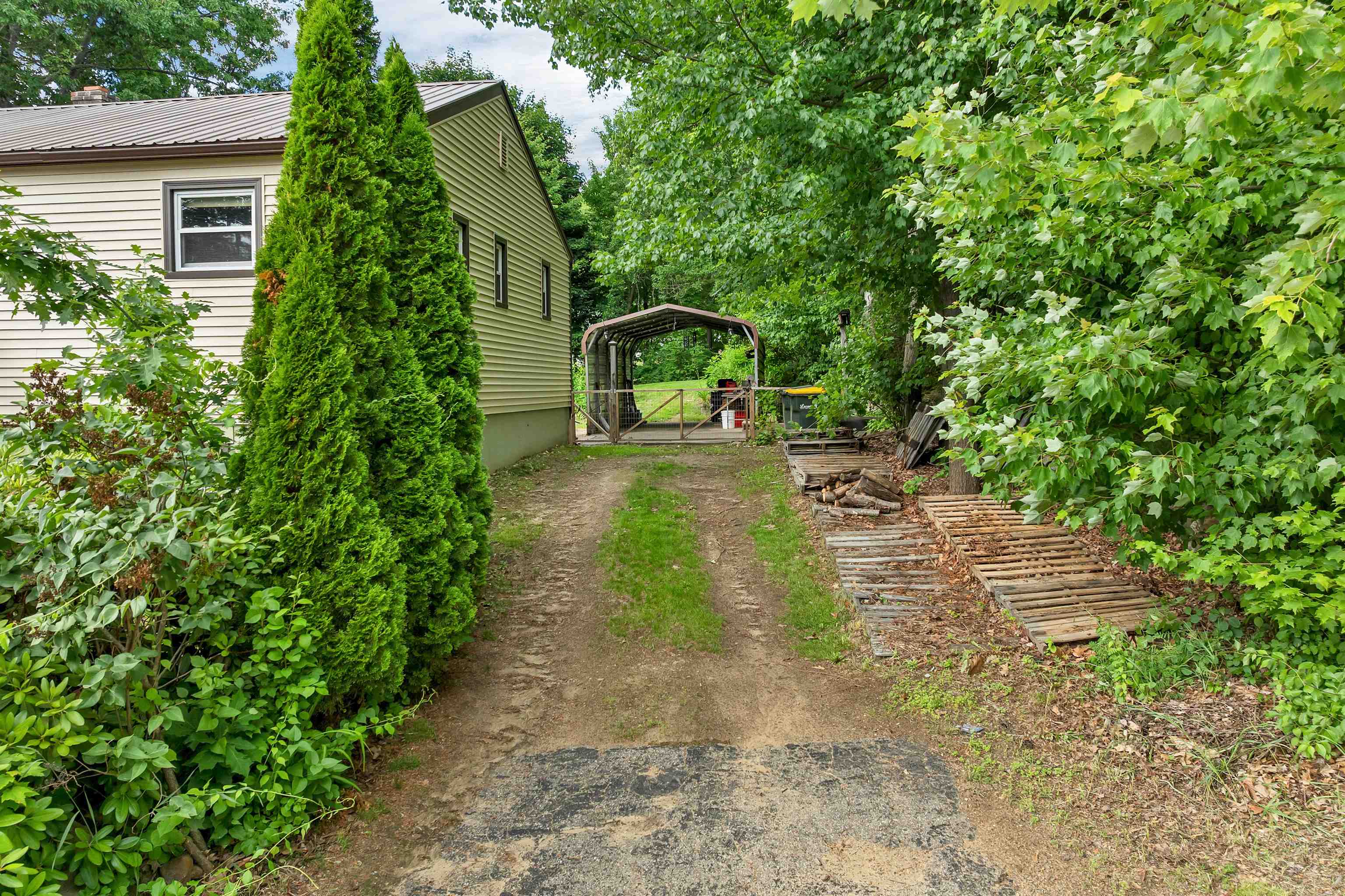 244 Pine Street Property Photo 45