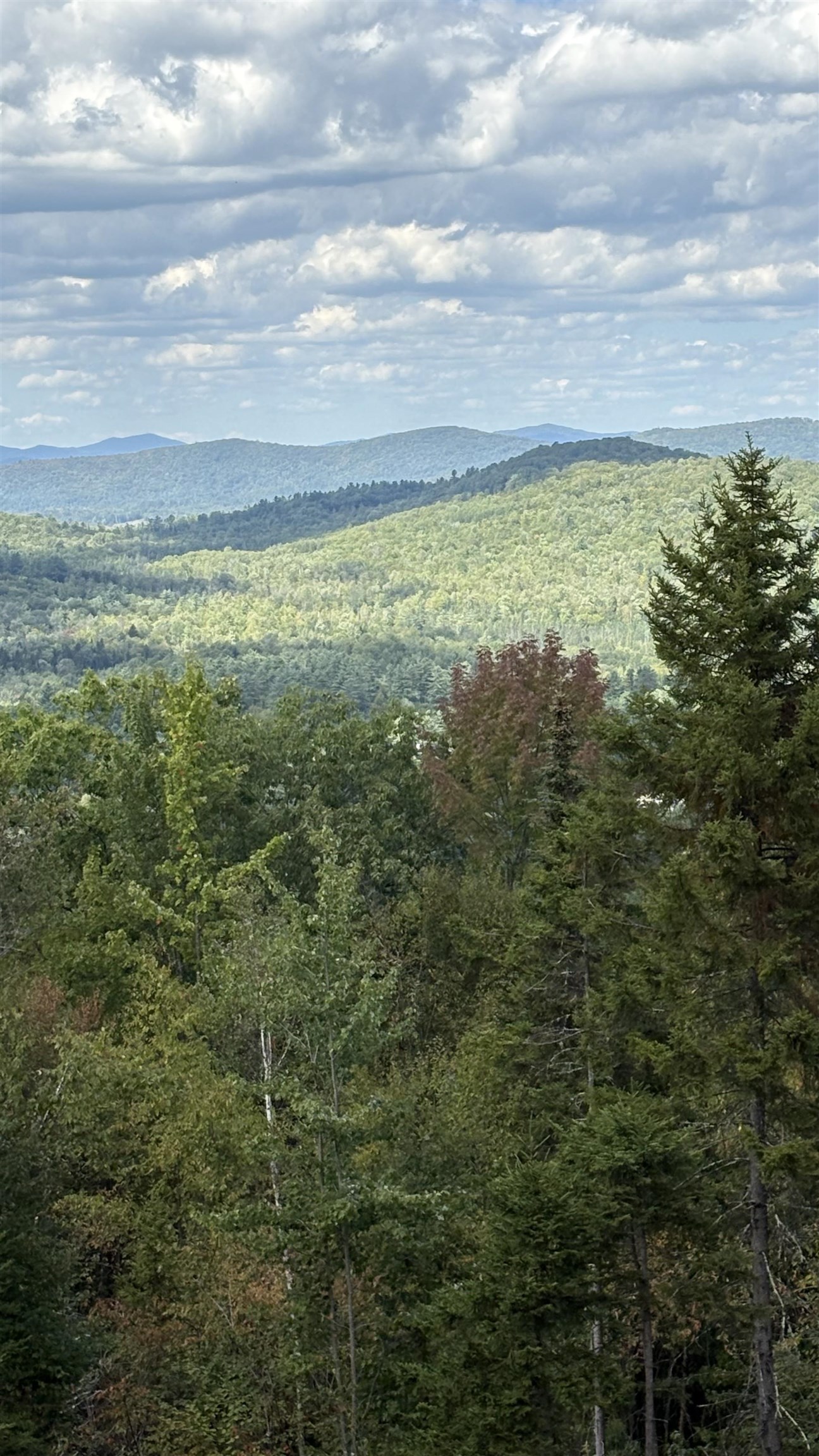 0 Oregon Road Property Photo 11