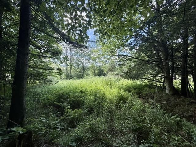 00 Battle Row Road Property Photo 10