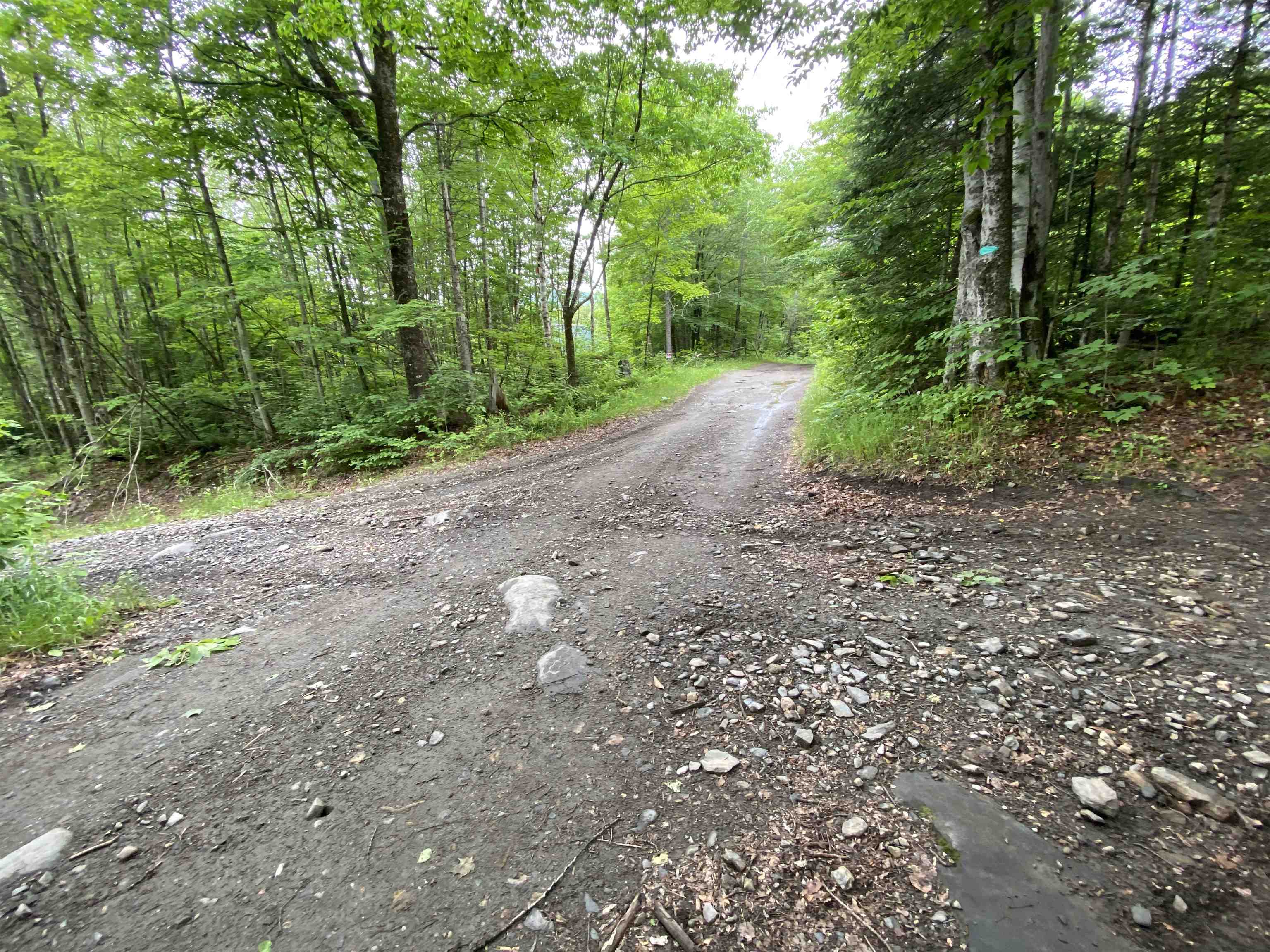 230 Blodgett Road Property Photo 8