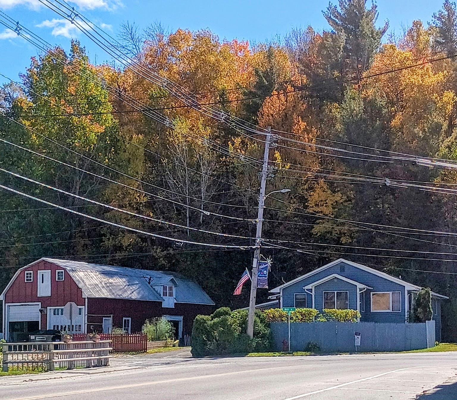 8 Birch Street Property Photo 1