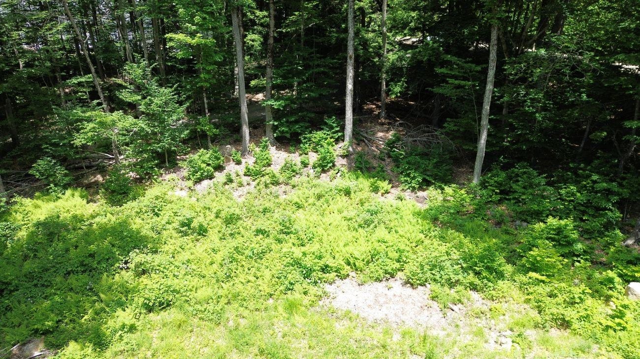 151 Red Coat Lane Property Photo 3