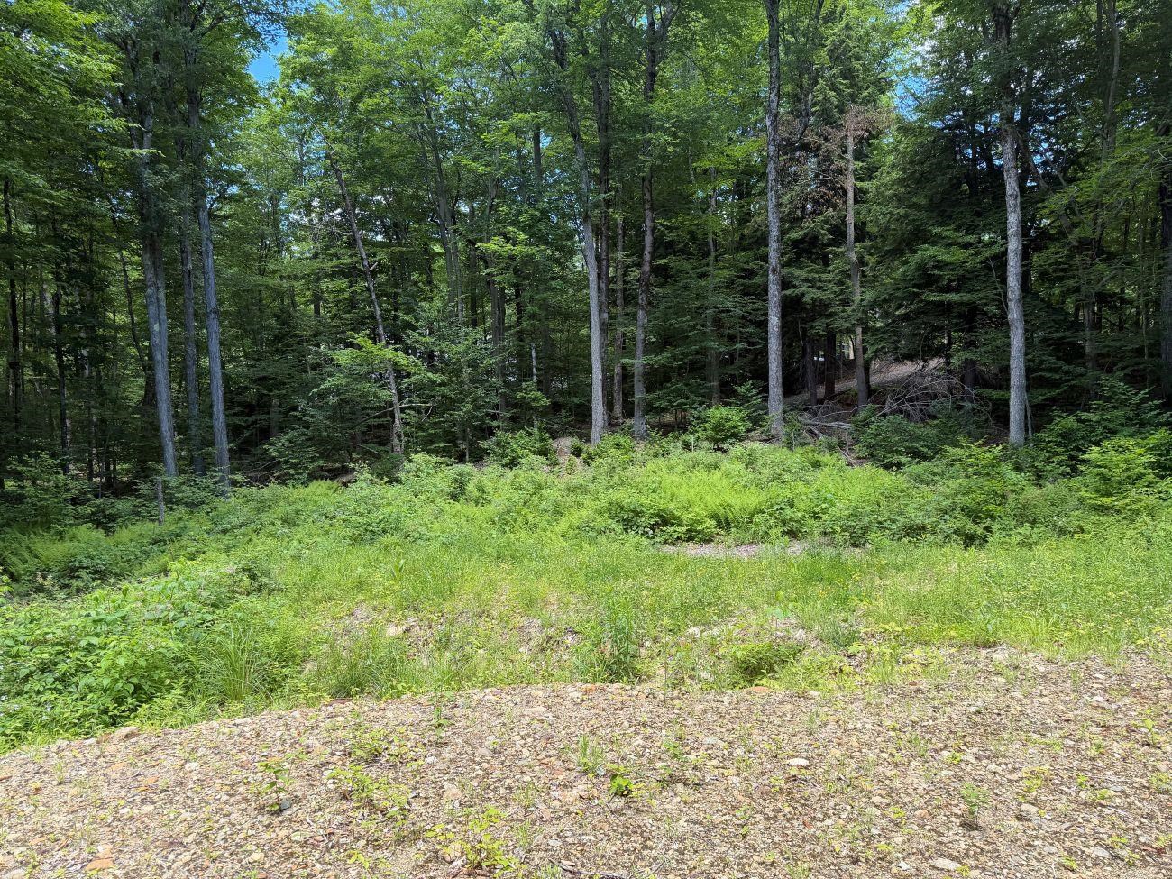151 Red Coat Lane Property Photo 9