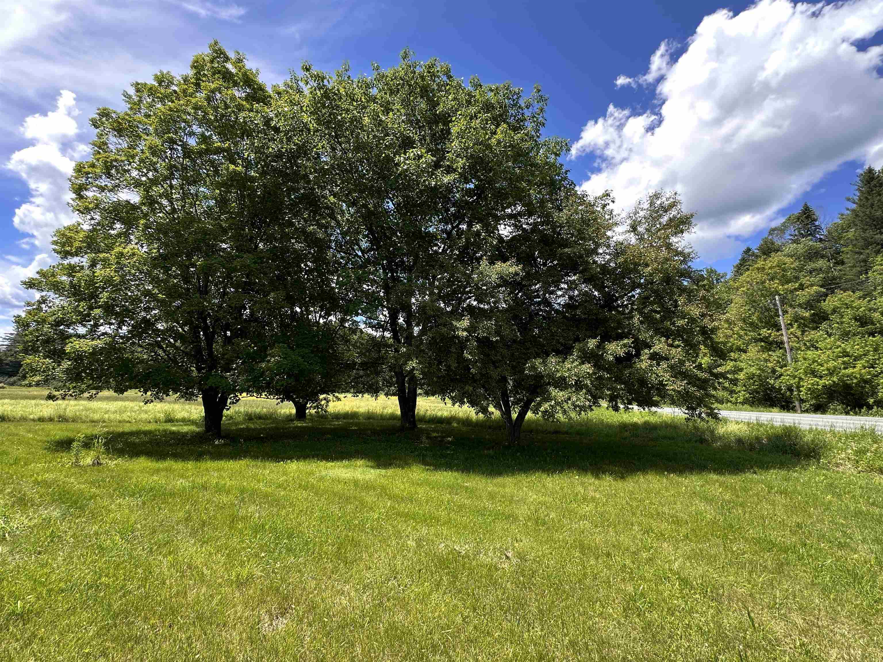 28 Stevens Loop Property Photo 5