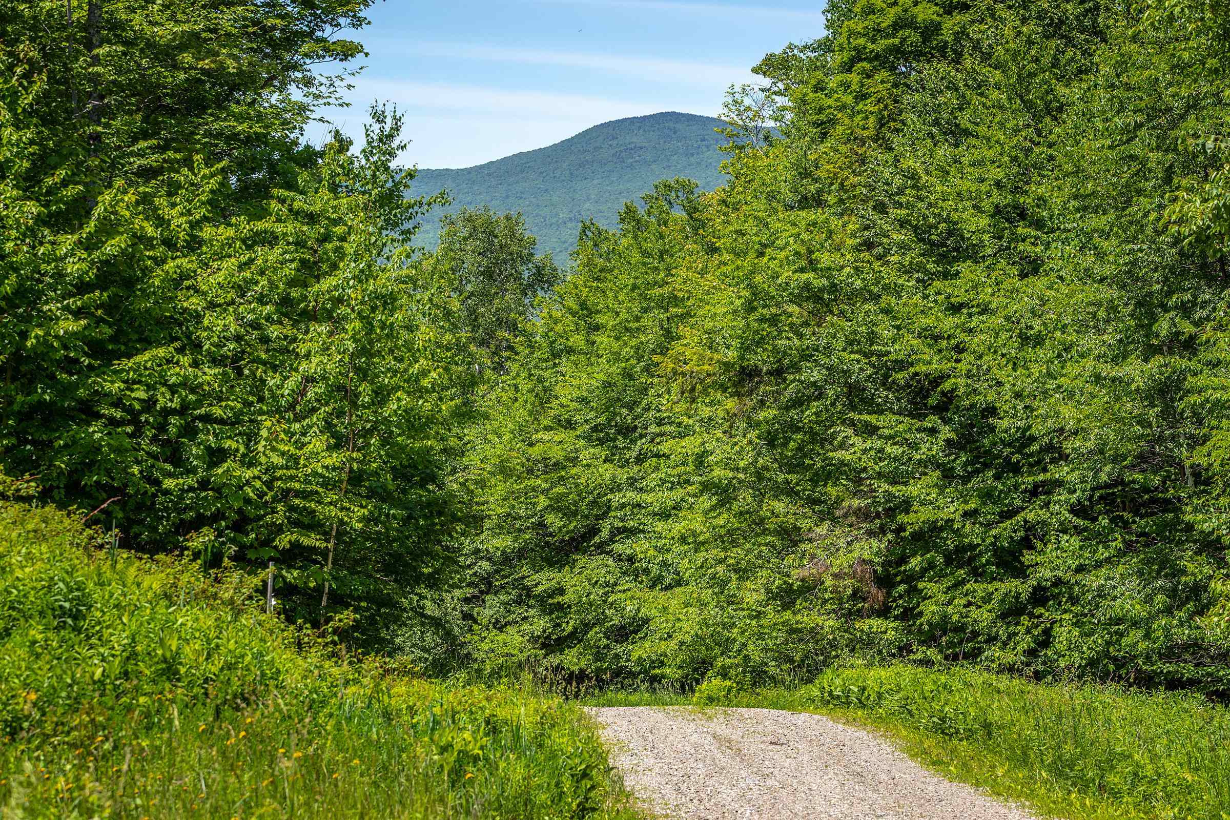 691 Black Bear Road Property Photo 44