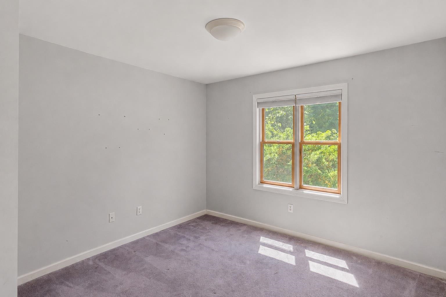 72 Morrill Drive Property Photo 22