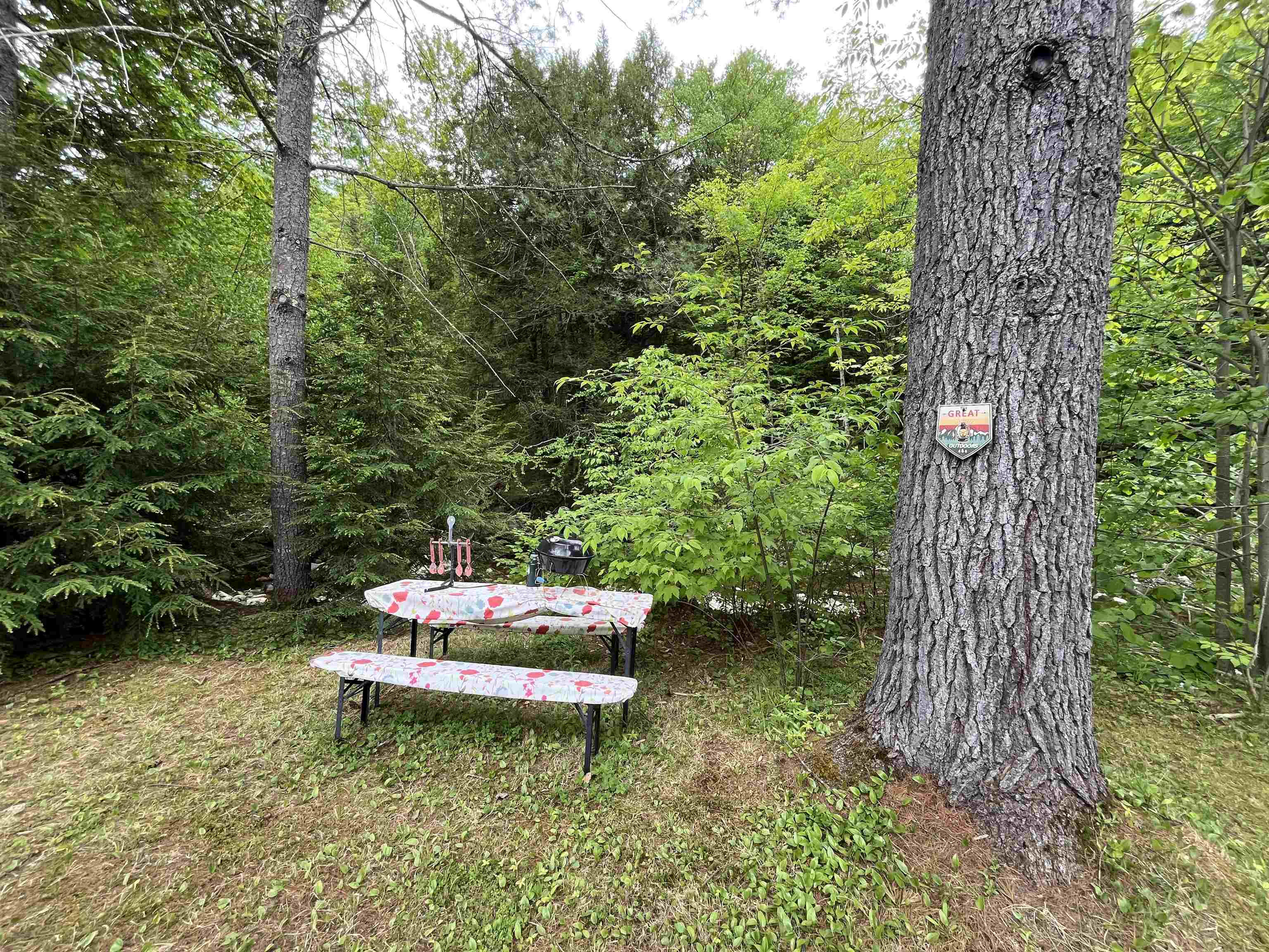 4027 Route 100 Highway Property Photo 39