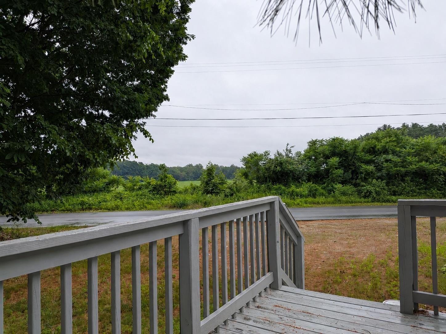 545 Elm Street Property Photo 25