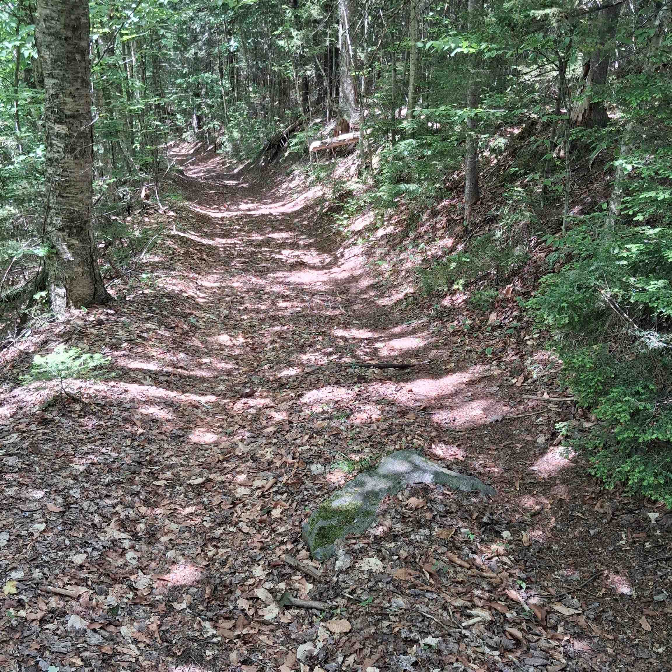 Lot 15 +37 Acre Spruce Lane Property Photo 1