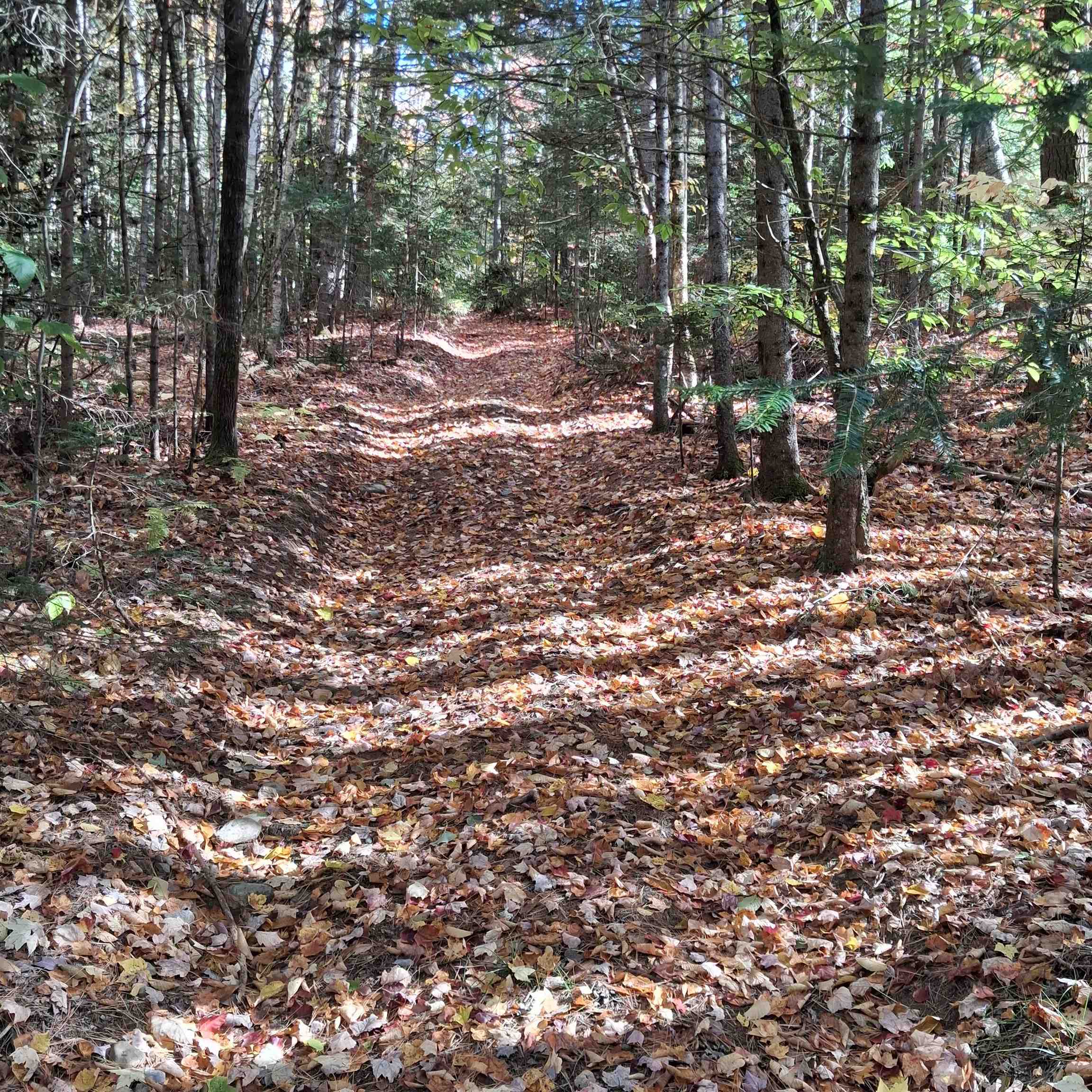 Lot 15 +37 Acre Spruce Lane