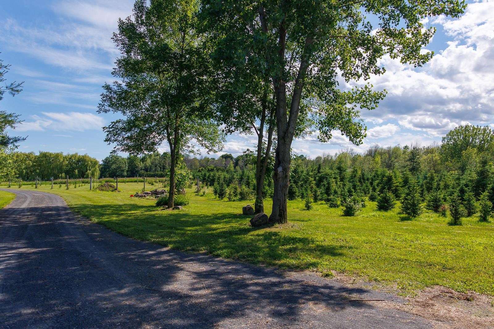 2687 Us Route 2 Property Photo 56
