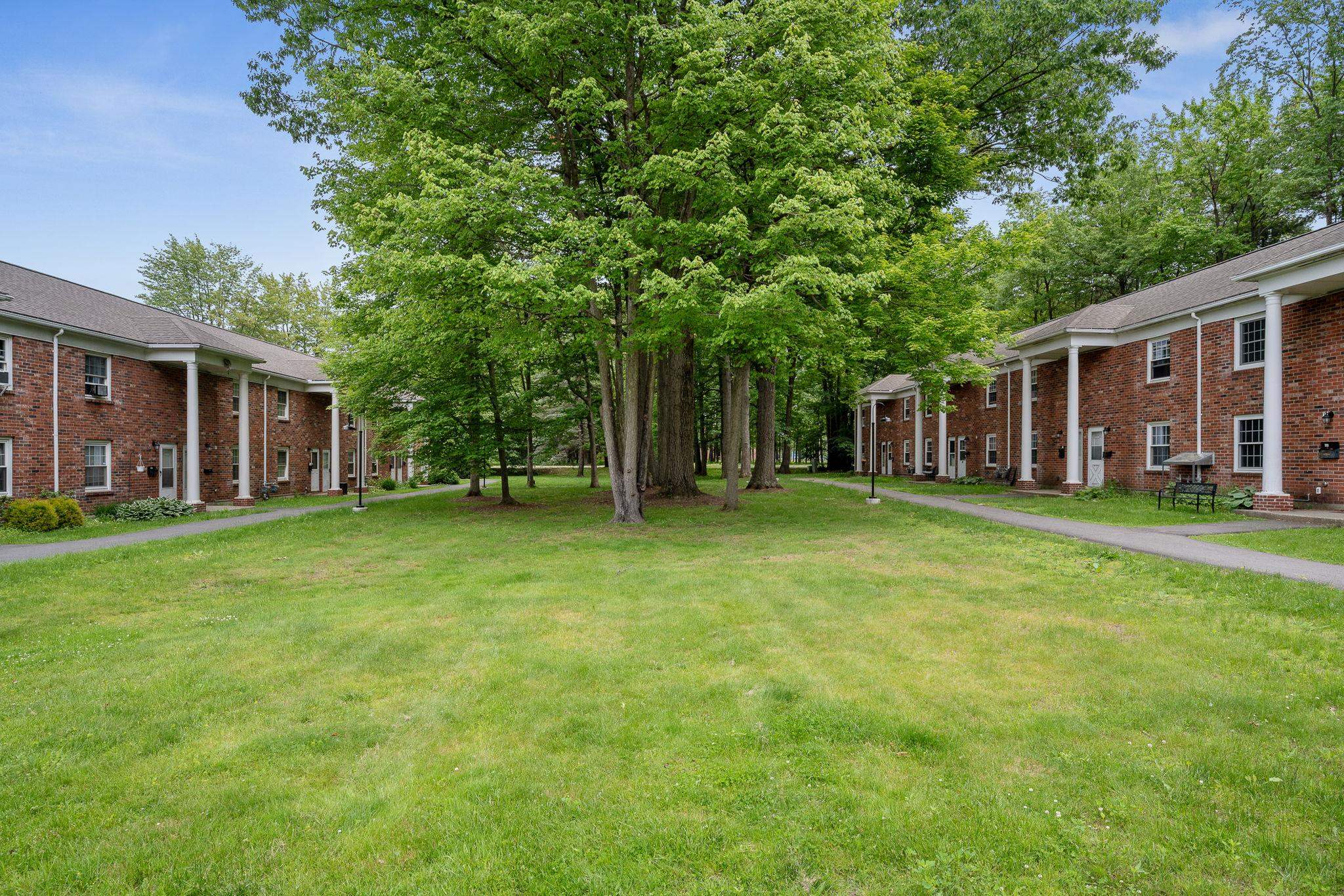 425 Dorset Street Property Photo 29