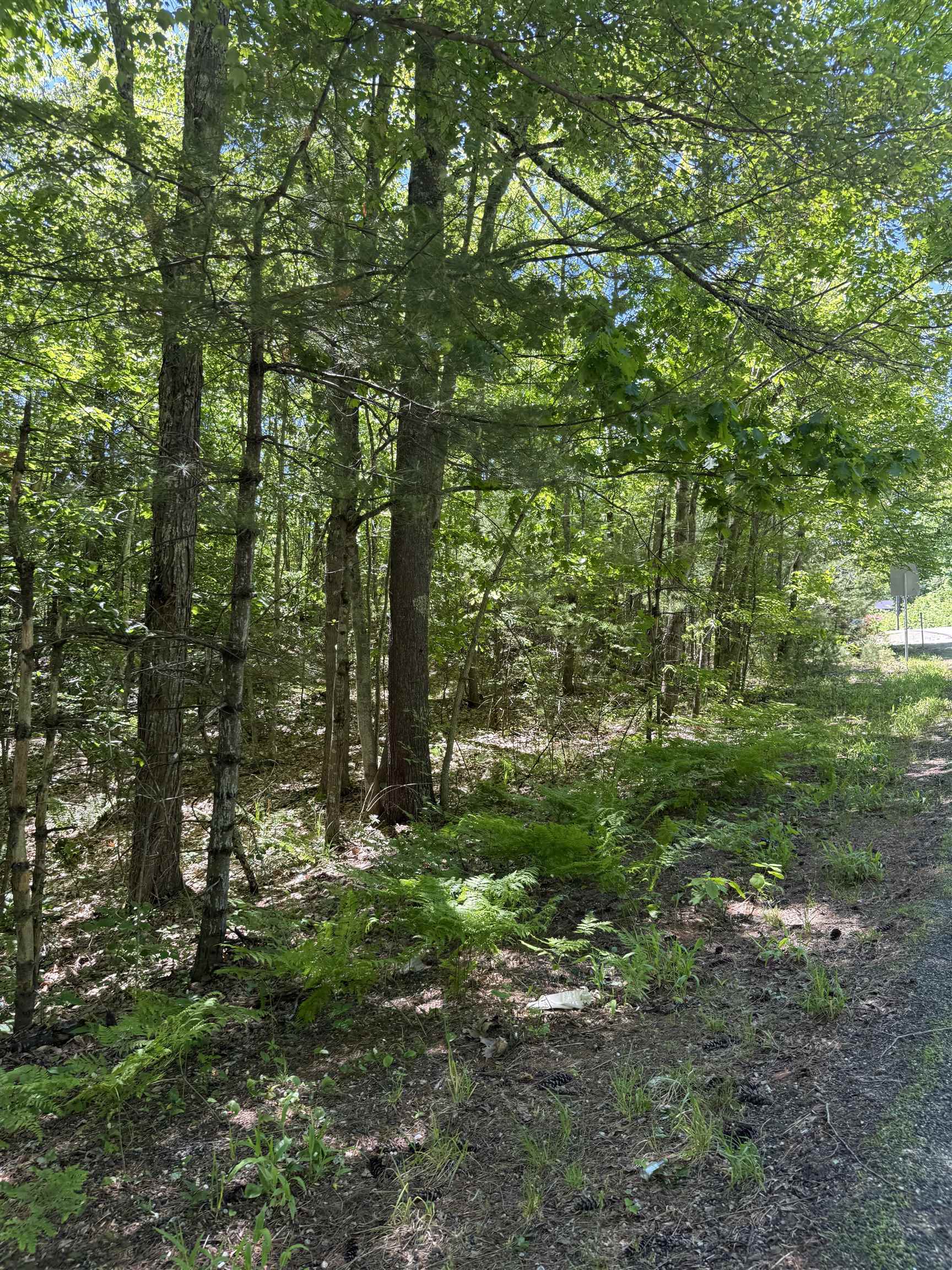 Lot 33, 34, 35 Washington Street Property Photo 1