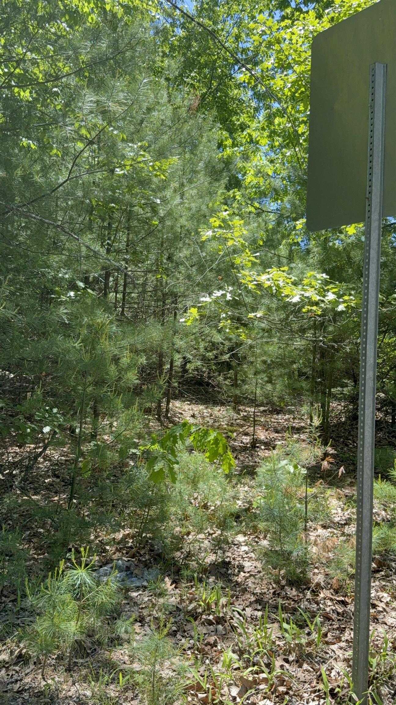 Lot 33, 34, 35 Washington Street Property Photo 2