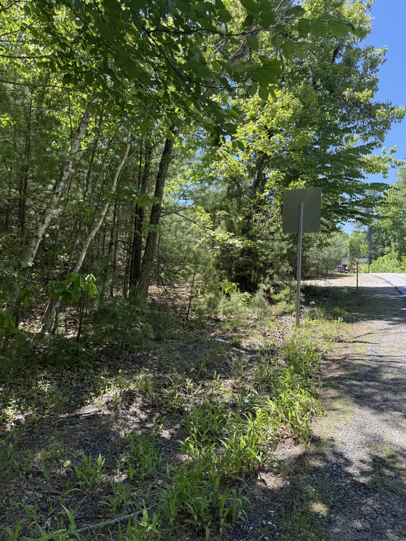 Lot 33, 34, 35 Washington Street Property Photo 3