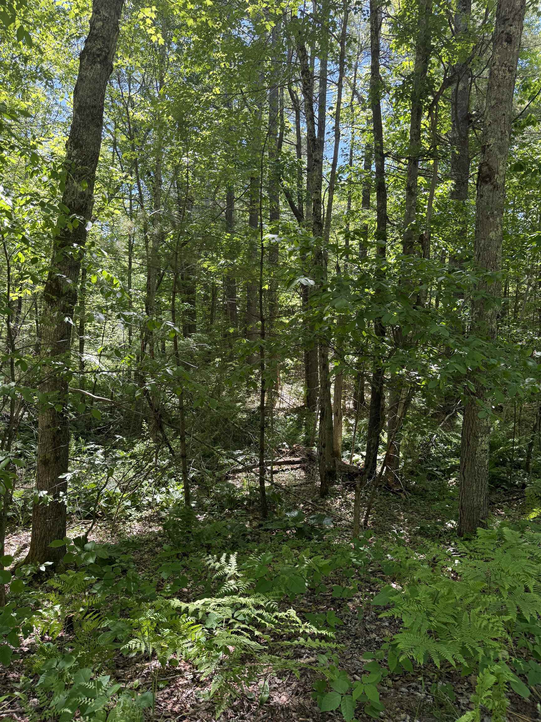 Lot 33, 34, 35 Washington Street Property Photo 4
