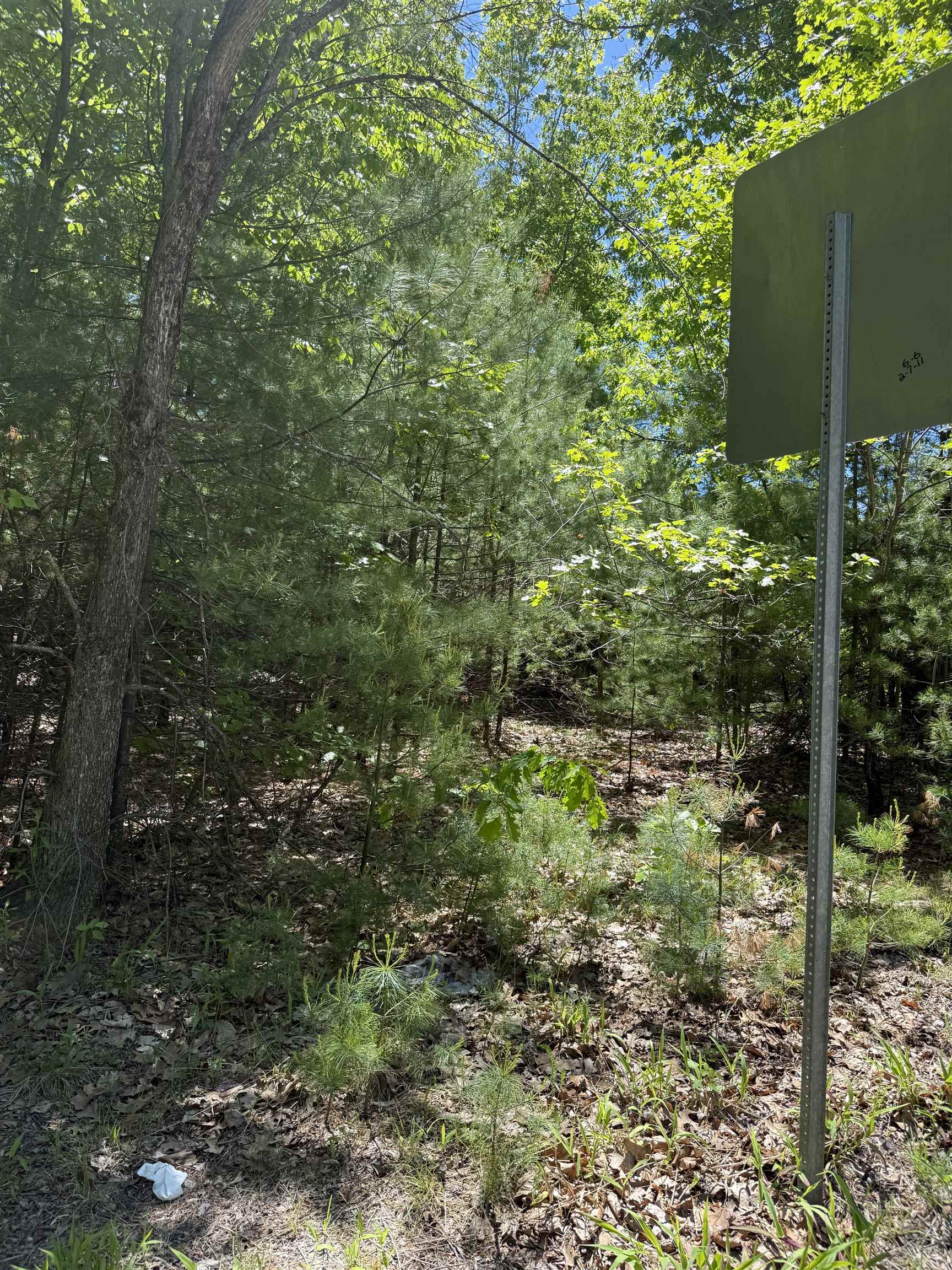 Lot 33, 34, 35 Washington Street Property Photo 8